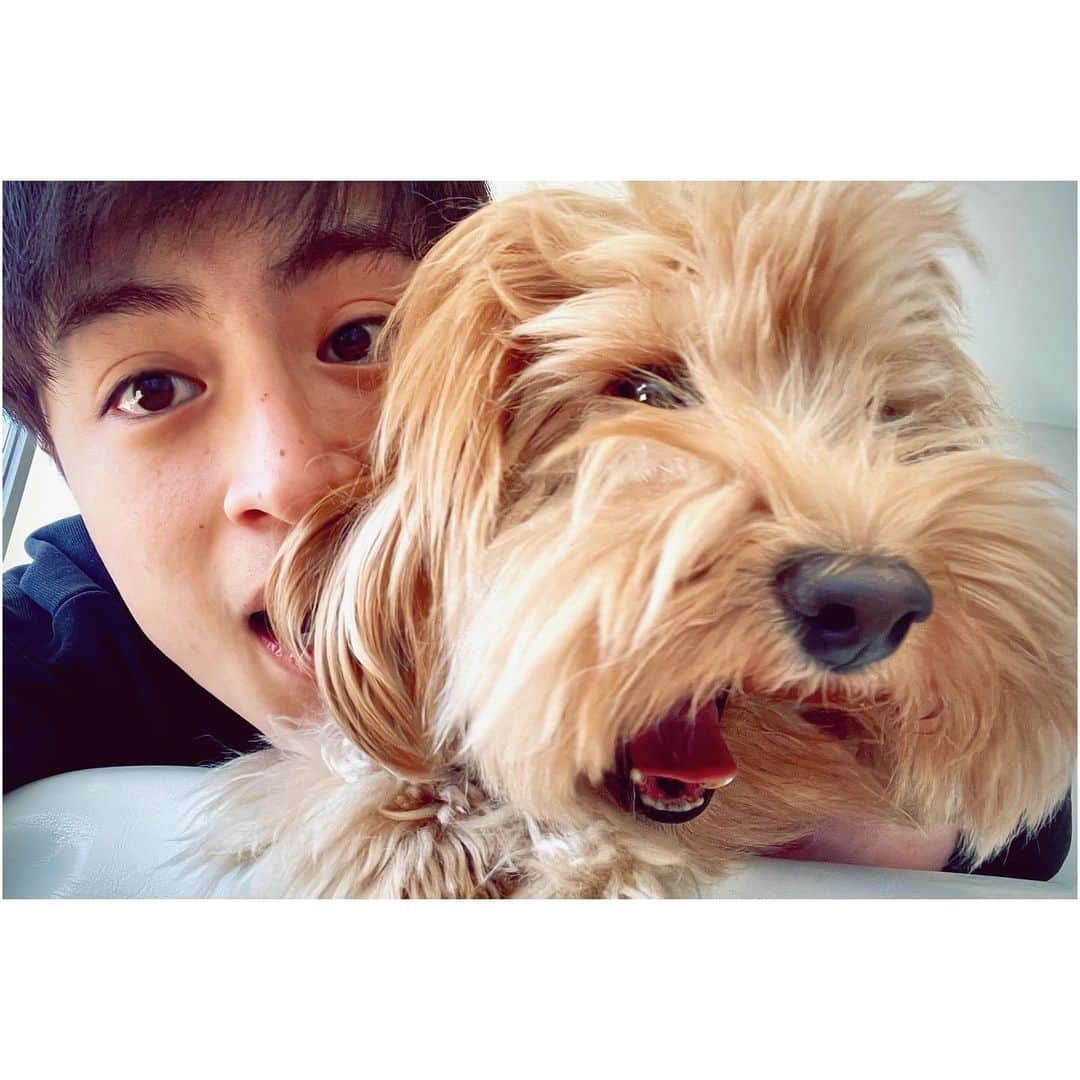 白濱亜嵐さんのインスタグラム写真 - (白濱亜嵐Instagram)「STAY HOME with REX!!🐶❤️  #STAYHOME #おうち時間 #自粛期間中 #愛犬への愛深まる」3月2日 11時54分 - alan_shirahama_official