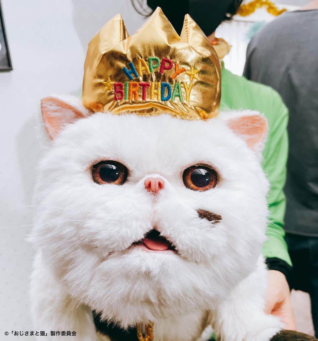 おじさまと猫のインスタグラム：「＼ #おじさまと猫 第9話は明日🐱❣️／  #ふくまる と #マリン のお誕生日会は まだまだ続きます🎂🙌  こちら主役帽を被せてもらって、 とってもご機嫌のふくまる☺️💓  あまりの可愛さに、 スタッフたちのシャッターが 止まりませんでした🤳✨✨  #草刈正雄 #神木隆之介  #平山浩行 #松本穂香 #小関裕太 #武田玲奈 #高橋ひとみ #升毅 #松本穂香 #吉澤嘉代子 #阿部真央 #猫 #猫のいる暮らしさ」