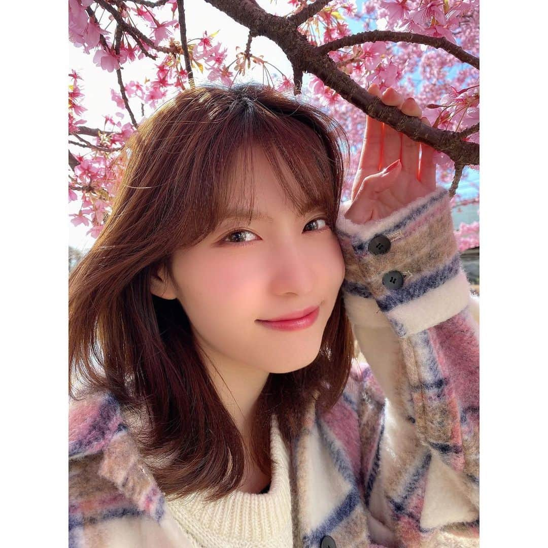 谷口めぐさんのインスタグラム写真 - (谷口めぐInstagram)「家族で出かけてたらもう桜咲いてた🌸 3月もよろしくです〜   #桜 #カワズザクラ #3月」3月2日 18時18分 - o_megu1112