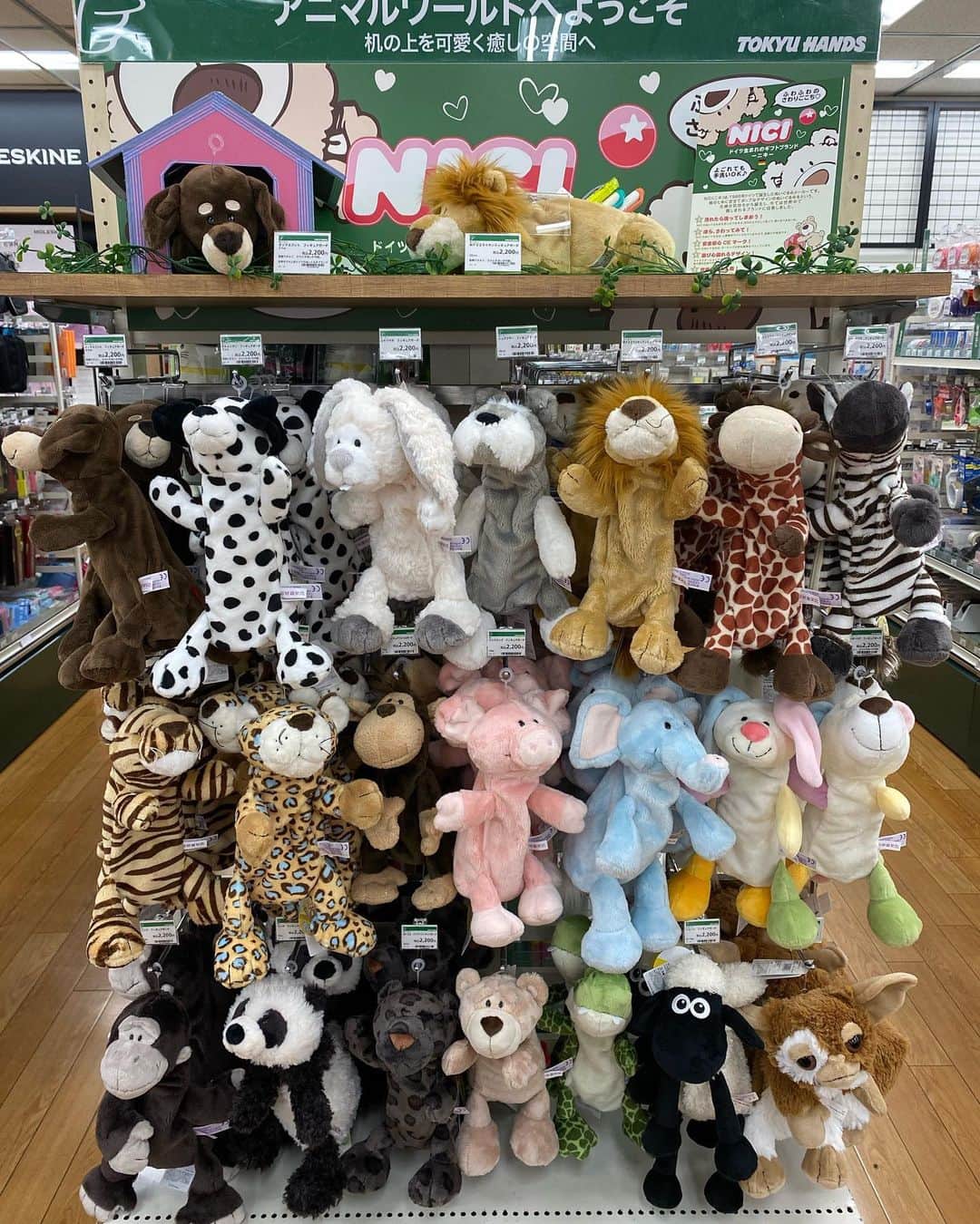 のインスタグラム：「. . 東急ハンズ新宿店8Fステーショナリー売場にて NICIコーナー展開中！  新商品のDogシリーズや 人気のワイルドフレンズシリーズなど、 ふわふわなさわり心地のフィギュアポーチを 種類豊富にご展開いただいております😆✨  さらに、ご購入いただいた方には 数量限定でNICIオリジナルステッカーがついてきますよ♪ この機会をお見逃しなく👀！    【店舗情報】 東急ハンズ新宿店 東京都渋谷区千駄ヶ谷5-24-2　タイムズスクエアビル8階 TEL:03-5361-3111  #nici #ニキ #フィギュアポーチ #figurepouch #かわいい #東急ハンズ #tokyuhands #文房具 #文具 #ステーショナリー #stationery #筆箱 #ペンポーチ #新学期 #新学期準備 #雑貨好きな人と繋がりたい #よろしくお願いします」