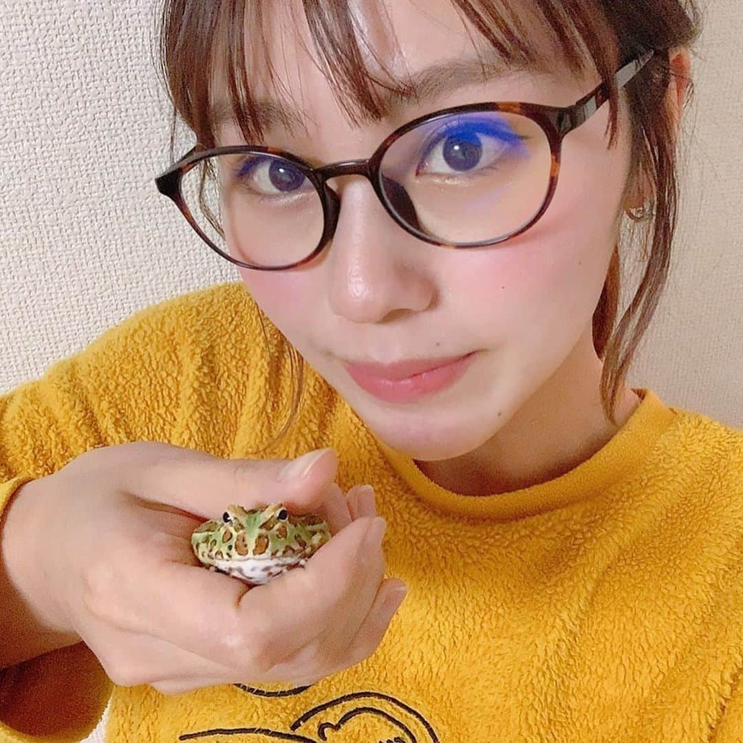 荒川真衣さんのインスタグラム写真 - (荒川真衣Instagram)「完全にオフな感じでごめんなさい🐸﻿ カエルちゃんを飼い始めたよ🐸﻿ ﻿ ﻿ #YouTubeで公開したよ﻿ #クランウェルツノガエル﻿ #みてねん！﻿」3月2日 20時16分 - mai_konchu