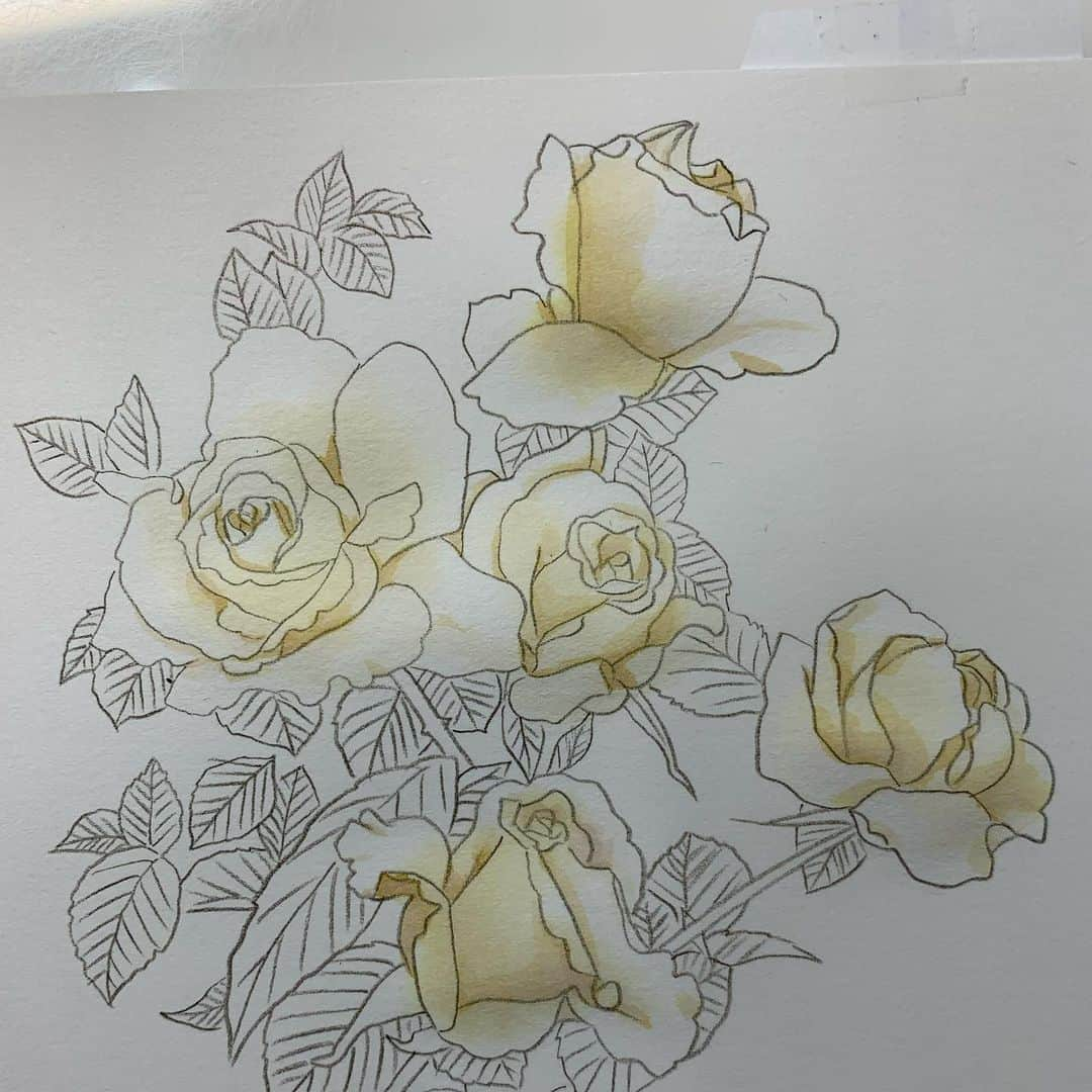 上田倫子さんのインスタグラム写真 - (上田倫子Instagram)「カバーイラストのバックに使う薔薇は別に描きます。 下絵から完成まで1時間くらい。  花を描くのは好きです。」3月2日 20時22分 - korinntonn