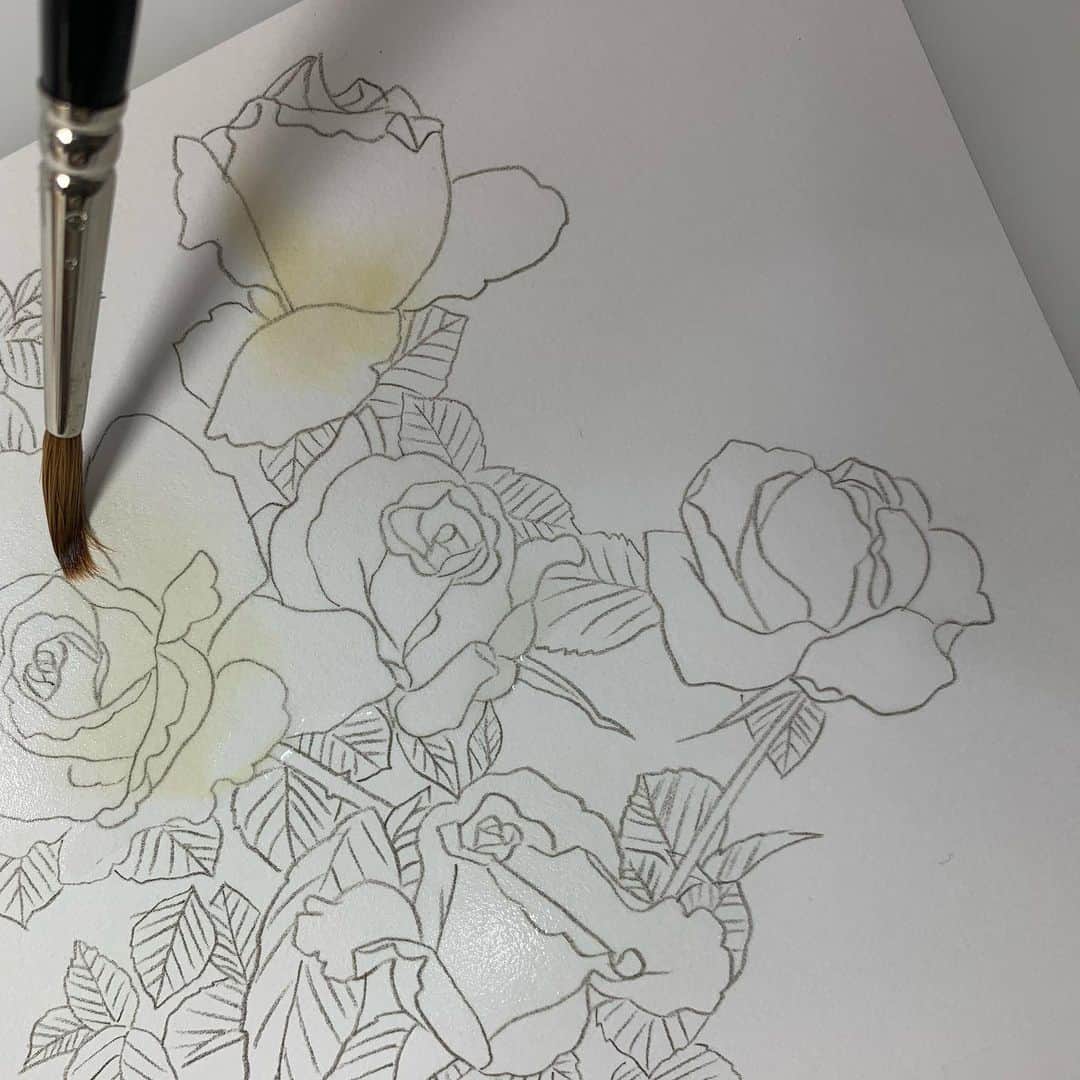 上田倫子のインスタグラム：「カバーイラストのバックに使う薔薇は別に描きます。 下絵から完成まで1時間くらい。  花を描くのは好きです。」