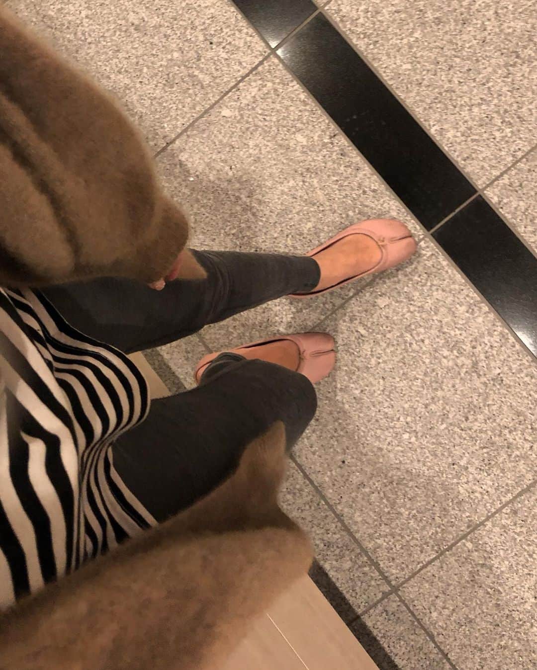 島居玲子のインスタグラム：「🐻×🦓×🐘×🐖」
