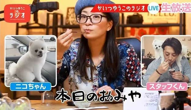 海津ゆうこさんのインスタグラム写真 - (海津ゆうこInstagram)「この間のかいつゆうこのラジオのおみや。 いつも楽しませてもらっている ニコちゃん　@nico_susukita ＆スタッフくんから秋田の高級スイーツをいただきました！  三松堂のイチゴわらびもち。３Lのとちおとめの入ったわらび餅。 美味しいに決まってます^_^ ご馳走さまでした。  ニコちゃんのインスタはとっても可愛いので、のぞいて見てね❤️  #おみや#youtube #youtuber #ラジオ#radio #フリーアナウンサー#ラジオパーソナリティー #おみやげ #スイーツ#イチゴ #イチゴわらびもち #秋田#ポメラニアン#pomeranian #帽子好き#今日のおやつ#美味しいもの#オススメスイーツ#sweets #とちおとめ」3月2日 21時03分 - yuco310