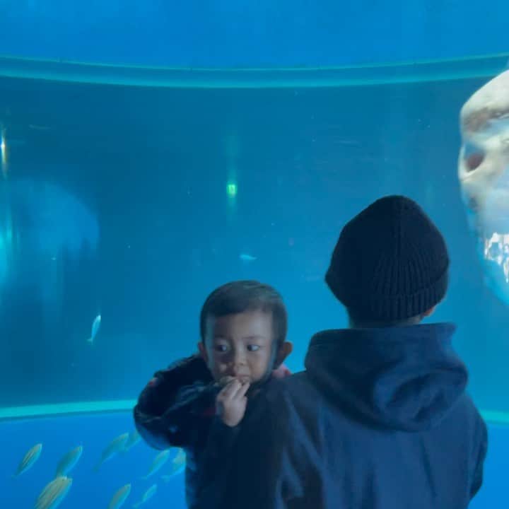 EMIのインスタグラム：「先日、家族で #八景島シーパラダイス に行ってきたよ🐟✨ ・ まなとはお魚が大好き💕💕 ・ 終始興奮してました！！！ ・ にしても、このマンボウ大き過ぎてびっくりしたぁぁ🐟💦 ・ #familytime #fish #babyboy #myson #holiday #aquarium #sunfish #水族館 #家族の時間 #お出かけ #魚 #マンボウ」