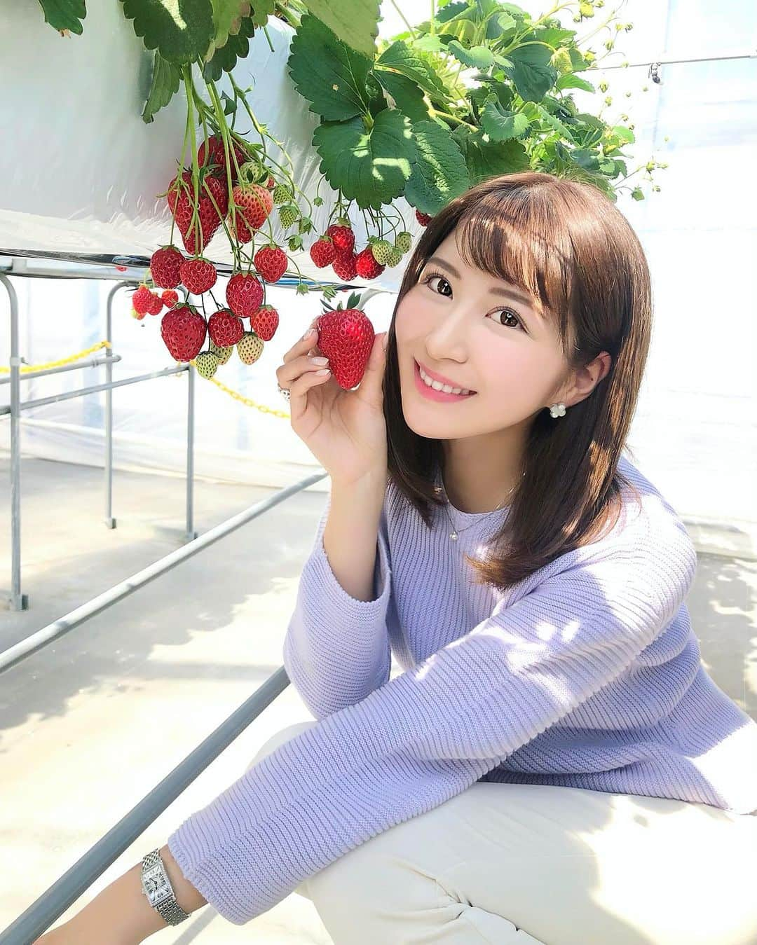 Manaさんのインスタグラム写真 - (ManaInstagram)「🍓🍓💕 い　ち　ご　♡ 大好きな大好きな苺のシーズン☺️✨ . そして毎年伺う、いちご畑さん 名古屋から車で30分くらいです🚗 . 紅ほっぺと章姫をおなかいっぱい！ 美味しかった〜♪ . . いつも予約が取りにくい人気の場所… たまたま枠が空いてラッキーでした🤞♥️ 感染対策もしっかりされていましたよ！皆さんもぜひ🐾 . . . 早くまた行きたい…🙏💘 . . . ＜いちごの栄養＞ ・免疫力アップ、疲労回復、肌荒れなどに効果があるビタミンCの含有量は果物の中でもトップクラス❣️ ・貧血予防、冷え防止などによい葉酸 ・むくみ解消に有効なカリウムもたっぷり ・色素は目の疲労回復に有効とされるアントシアニン ・腸内環境を整えてくれる食物繊維も豊富です🥸 . . . . #strawberrypicking #strawberryfields #いちご畑 #いちご狩り #いちご摘み #いちご  #苺 #苺狩り #苺好き #いちご大好き #ダブル #いちごづくし #紅ほっぺ #あきひめ #章姫 #食べ放題 #食いしん坊 #おやつタイム #カジュアルコーデ #デニムコーデ #白パン #白デニム #パープルコーデ #シンプルコーデ #UNIQLOコーデ #管理栄養士 #딸기 #草莓」3月2日 22時49分 - mana.tcy