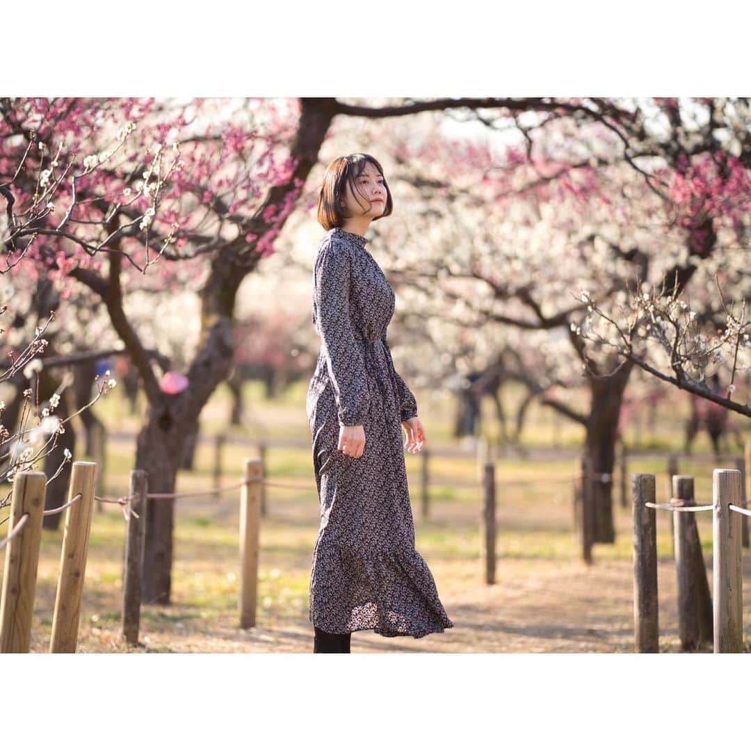 小川あゆ美のインスタグラム：「. 今日は #桃の節句 #ひなまつり 🎎🌸𓂃 𓈒𓏸 . この写真は梅祭りの時だけど♫*｡꙳笑 . . . . . #その瞬間に物語を #梅 #花見 #ポトレ女子 #はなまっぷ #花フレンド #お写んぽ #広がり同盟 #東京カメラ部 #ポートレート部 #東京女子部 #何気ない瞬間を残したい  #unknownJapan  #japaneseapricot #ume #team_jp_ #lovers_nipppn #ig_japan #bestjapanpics #portrait_shot #portraitphotography  #매화 #꽃스타그램 #얼스타그램 #셀스타그램 #일본여행 #팔로우미 #좋아요반사」