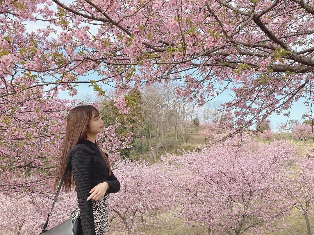 本島莉々果さんのインスタグラム写真 - (本島莉々果Instagram)「🎎🌸﻿ ﻿ ﻿ 3月3日🎎19歳になりました！﻿ メッセージたくさんありがとうございます◡̈﻿ ついにラストティーン…時よ止まってくれと思い始めてきました💧﻿ どんな環境でも楽しみながら充実した1年を送れるように頑張ります。﻿ これからも応援よろしくお願いします。﻿ ﻿ ﻿ ﻿ #誕生日 #birthday #ひな祭り #19歳 #🎎」3月3日 19時06分 - motoshimaririka