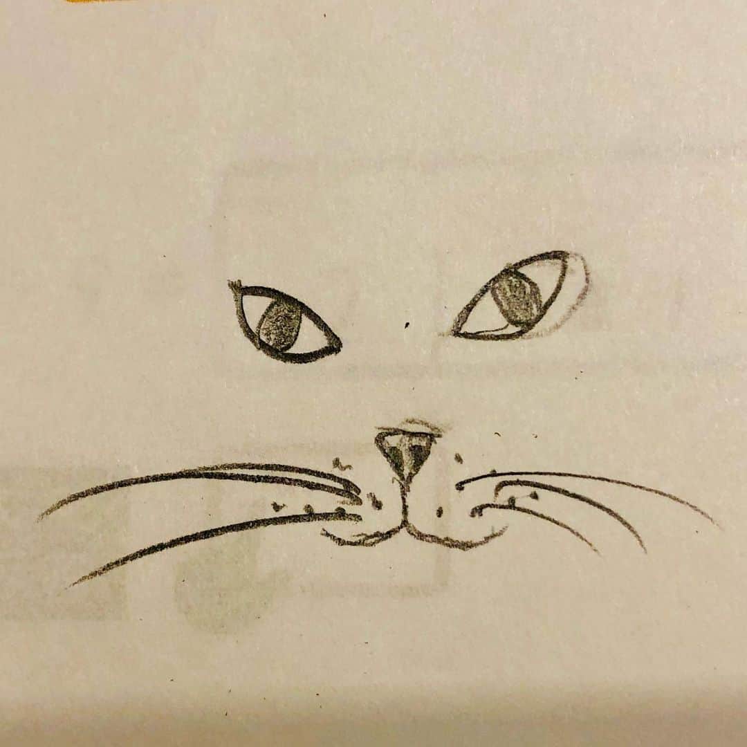 三浦瑠麗さんのインスタグラム写真 - (三浦瑠麗Instagram)「ちいさいとき、わたしもテストの裏にお姫さまや猫を描いていた。 娘の猫。」3月3日 20時15分 - lullymiura