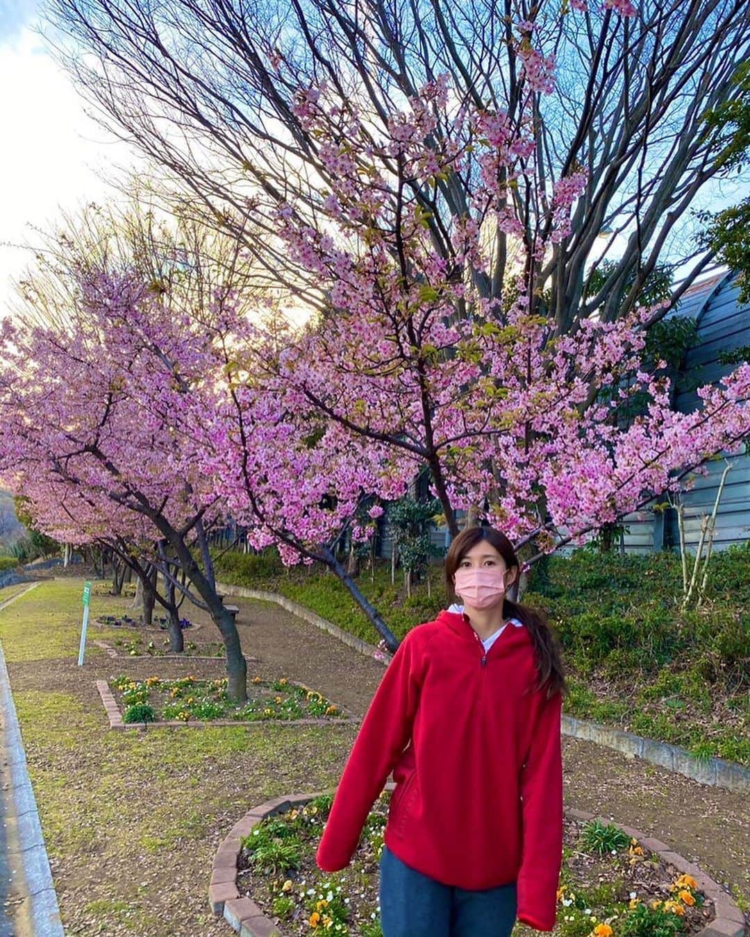 加藤優さんのインスタグラム写真 - (加藤優Instagram)「＊  なんとなーく、桜。  いちばん好きな花です。  🌸  #桜」3月3日 21時17分 - y_k_009