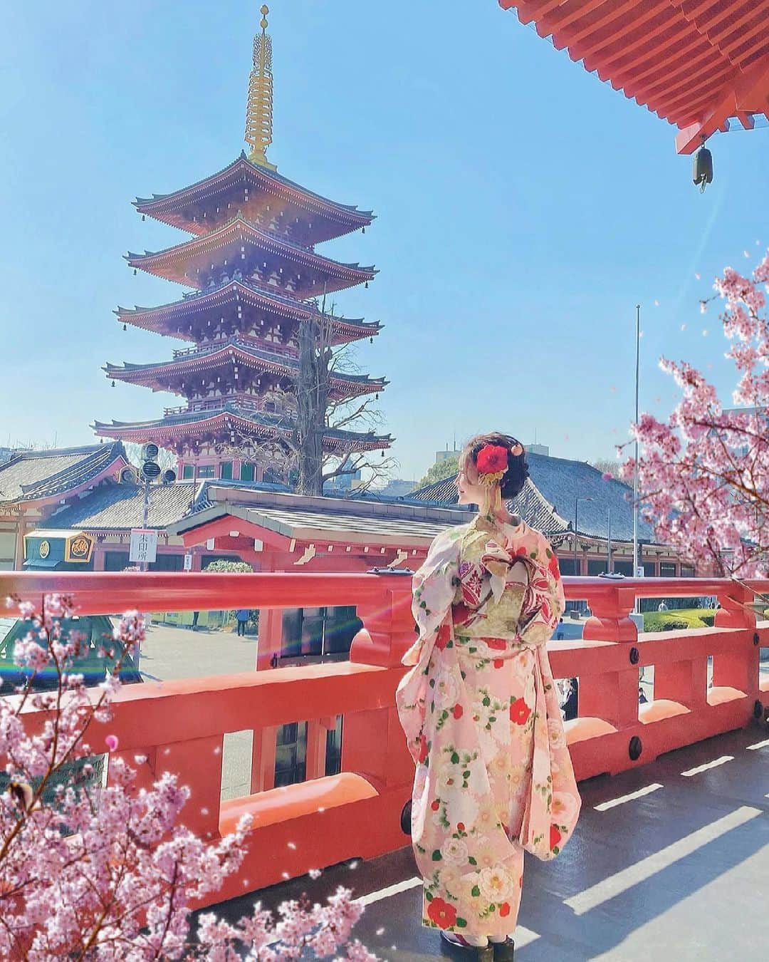 のインスタグラム：「✔︎ お雛祭り🌸 ・ 本日はおうちで雛祭りご飯の方もいらっしゃるのかな🍣 子供の頃は毎年ちらし寿司を頂いていました☺️💕 ・ お写真は先日伺った浅草寺の五重塔と振袖ショット⛩ このアングルでずっと撮ってみたくてやっと叶ったの💖 レンズフレアも綺麗に入っていて 桃の節句にぴったりな神アングルです🌸 皆様素敵な1日をお過ごし下さい♫ ・ ・ #桃の節句 #ひな祭り #ひなまつり #浅草寺 #着物」