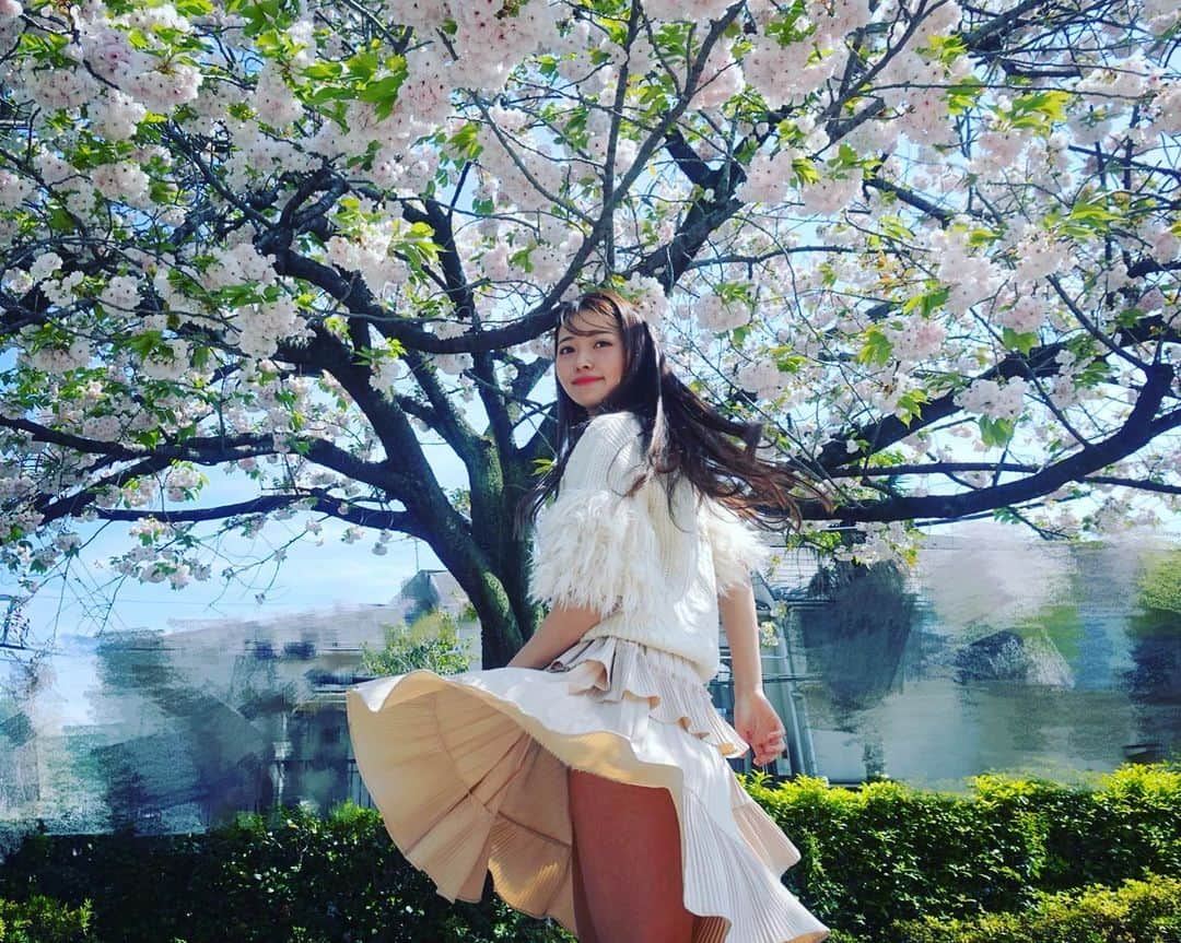 黒澤ゆりかさんのインスタグラム写真 - (黒澤ゆりかInstagram)「ひな祭り🎎🌸  #japanesegirl ﻿#モテるスカート #黒澤ゆりか  #ミニスカート  #skirt #スカートふわり #スカートめくり #チラリズム  #グラビア #脚フェチ #美脚 ﻿#スカートひらり　#写真スポット #buttonupskirt #デートスタイル　#zipupskirt #不慎走光　#偷拍走光  #インスタグラビア #絶対領域  #パンチラ﻿  #スカートコーデ #本日のスカートふわり﻿  #角度を変えたくなる写真﻿ ❤︎#produceYURIKA﻿」3月3日 22時31分 - yurikakurosawa