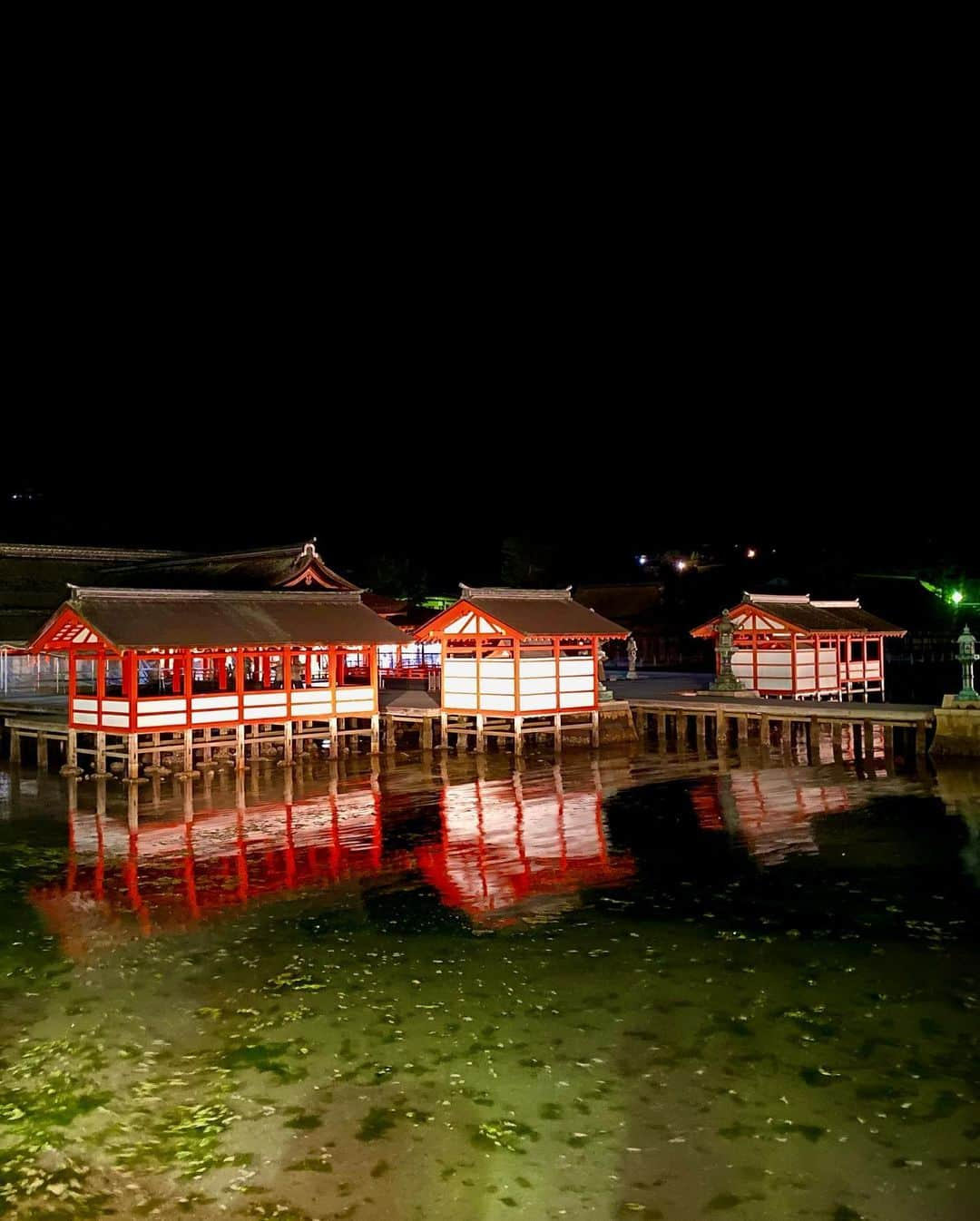 箕輪玖美さんのインスタグラム写真 - (箕輪玖美Instagram)「夜の厳島神社も厳か⛩✨  長男は日本酒、飲めないパパはお茶で乾杯😁  #宮島 #厳島神社 #寺社仏閣好きな人と繋がりたい  #家族旅行 #父と息子　#itsukusimashrine  #hiroshima  #onsen #獺祭スパークリング #instagood  #モデル #箕輪玖美」3月4日 0時14分 - kumi.111