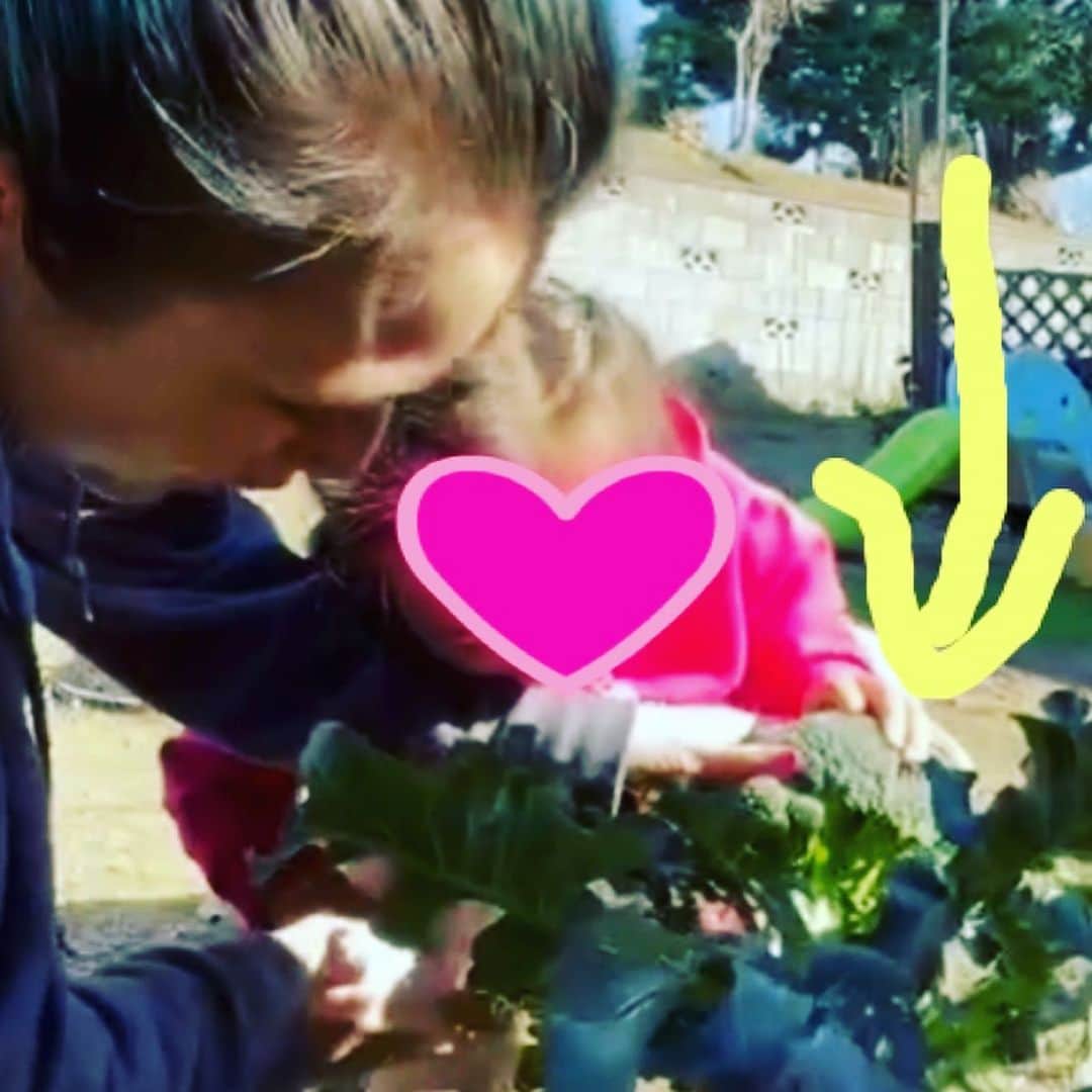 SHELLY（シェリー）さんのインスタグラム写真 - (SHELLY（シェリー）Instagram)「9月に植えたブロッコリーちゃんが大きく育ってようやく収穫できました！  我が家の畑は放ったらかしでも結構ちゃんと育ってくれて助かってます。  他にも玉ねぎ、スナップエンドウ、レタス、パクチー、ほうれん草、いちご、じゃがいもを栽培中。  #ロハス野郎 #いつからこんなんになったんだ #キャラ変 #違和感を消すために今からレモンハイを飲みます #bennysplaceyokohama  #ベニプレパーカー」2月8日 10時27分 - shelly_official_shelly