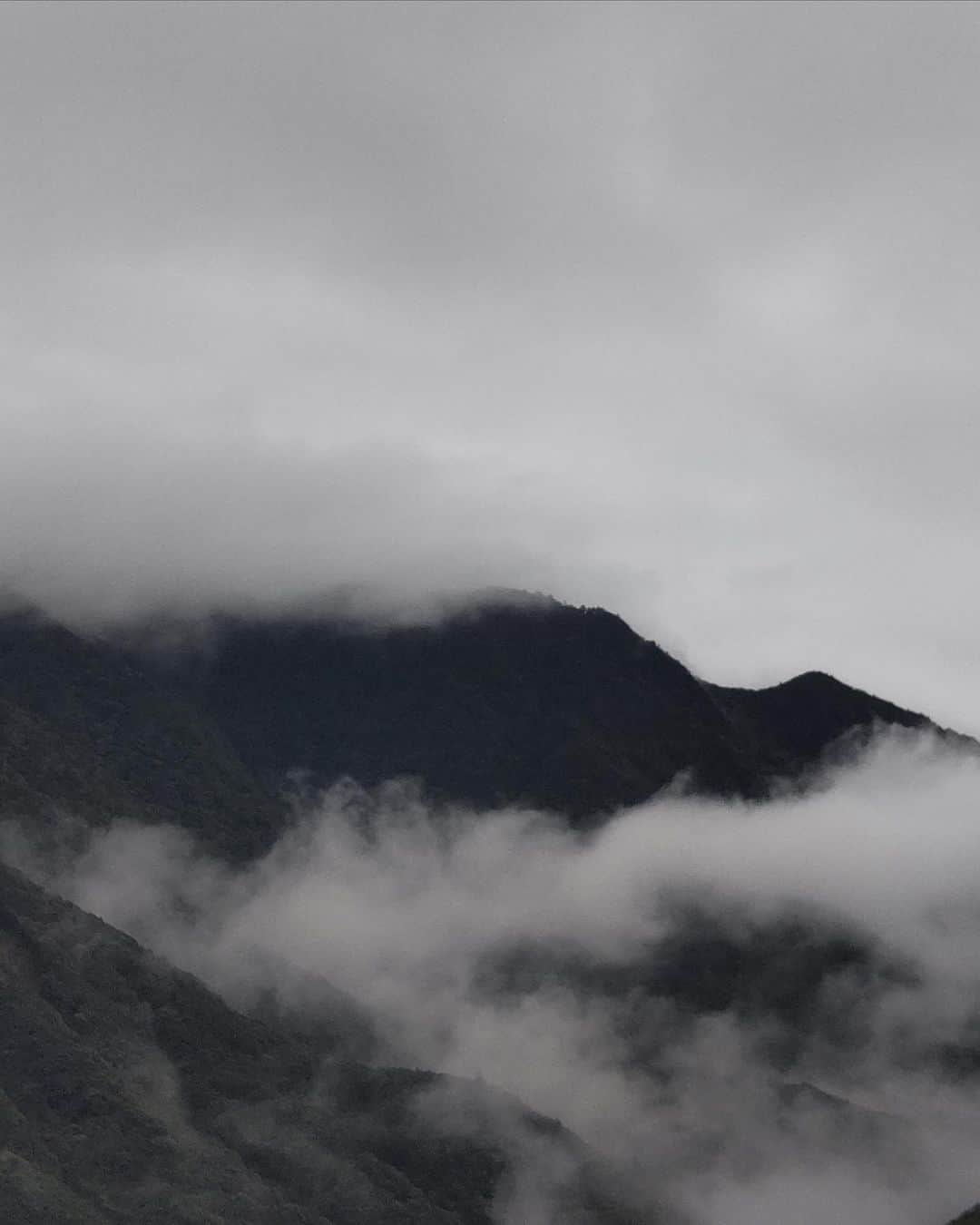 きいちゃんさんのインスタグラム写真 - (きいちゃんInstagram)「. 【ある取材にて、和歌山の風景をパシャリ】 「光（ひかり）」を「観る（みる）」と書いて「観光（かんこう）」。 日本の観光のはじまりは「巡礼」の旅であり、熊野詣が起源といわれています。 この雲と霧がかかった神秘的な熊野の風景。あなたも光を観に来てください。  https://www.wakayama-kanko.or.jp/features/world-heritage-kumano/  #和歌山県 #wakayama #和 #那智勝浦 #自然 #景色 #熊野 #世界遺産　#kumanodays」2月8日 10時34分 - wakayamapref_pr
