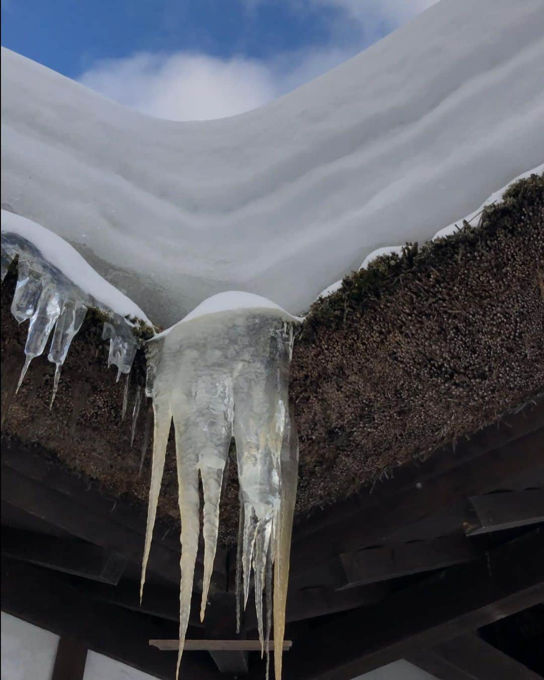 Rediscover Fukushimaさんのインスタグラム写真 - (Rediscover FukushimaInstagram)「Does this look like a cold station? Check picture # 2 ! ♨️🥰 It’s actually super warm!  As one of only two thatched roof train stations in Japan, this is truly a special place.   Also there is a foot bath at the station so you can warm up as you wait for your train. How clever is that?😆♨️ It is really awesome on a cold day like this!!  It was so nice to revisit this lovely station. I even bought a snack at the old fashioned store inside. Dried persimmons!! My favorite. 😍  Would you visit this station? 🤔✨  For more check our Facebook page: “Travel Fukushima Japan“  or our website: https://fukushima.travel/destination/yunokami-onsen-station/50   🏷 ( #onsen #trains #station #yunokamionsen #oldjapan #historicjapan #japanesehistory #rails #railways #onsenjapan #Japan #Fukushima #VisitFukushima #Japan #Japanese #rusticjapan #湯野上温泉　#福島 #福島の旅　#japanphoto #japanphotos #JapaneseAesthetic #travelbyrail #ghibliesque #japow #snow #japansnow #snowjapan #snowyjapan #onsen #footonsen )」2月8日 11時21分 - rediscoverfukushima