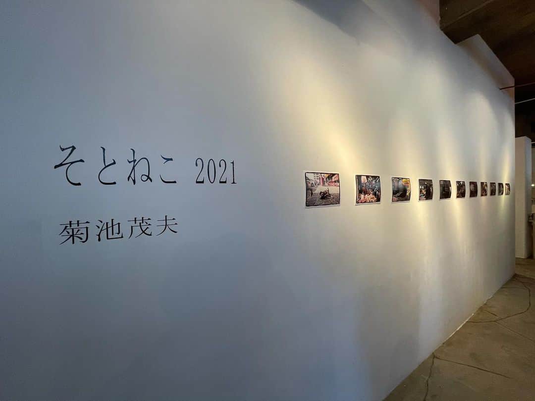 濱田将充のインスタグラム：「先日きくちさんの写真展 そとねこ2021に行ってきました🐈 新代田FEVERに隣接してるPOOTLE癒し空間でした。」