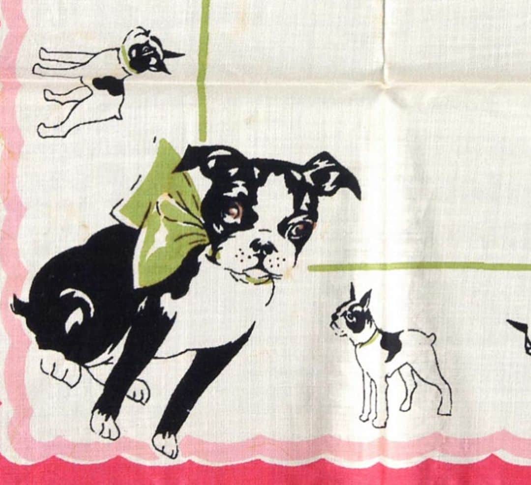 フィラデルフィア美術館さんのインスタグラム写真 - (フィラデルフィア美術館Instagram)「Paws everything—the #PuppyBowl is today and we have a few new recruits for Team Ruff and Team Fluff. 🐶  "A Spaniel," 1822, by Sir Edwin Landseer. "Dog," 1950s, by Saitō Kiyoshi. "Three Puppies," 1790, by Maruyama Ōkyo. "Mountain Dog," around 1954, by Max Kahn. "Cat Playing with Two Dogs" (detail), 1652, by Paulus Potter. "Child's Handkerchief," mid-1900s, designed by Miss L. Brogan, Inc.」2月8日 3時05分 - philamuseum