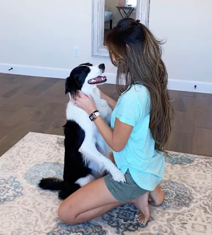 Jazzy Cooper Fostersのインスタグラム：「How BB and PB greet me. 😙😘 Phoebe loves giving hugs and kisses. BB is gentler and much calmer. I’ve never had a doggy who enjoys affection the way Phoebe does. 💝」