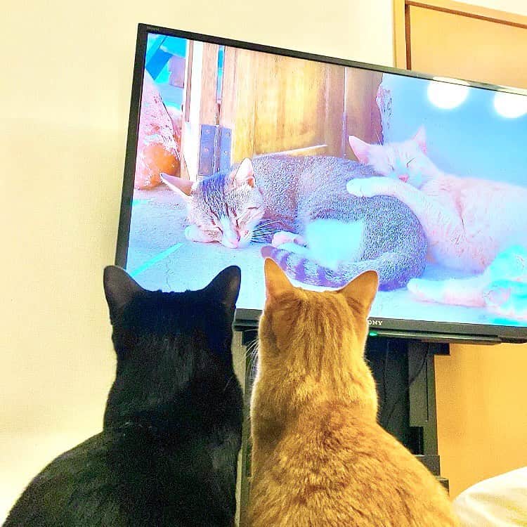 相沢あいのインスタグラム
