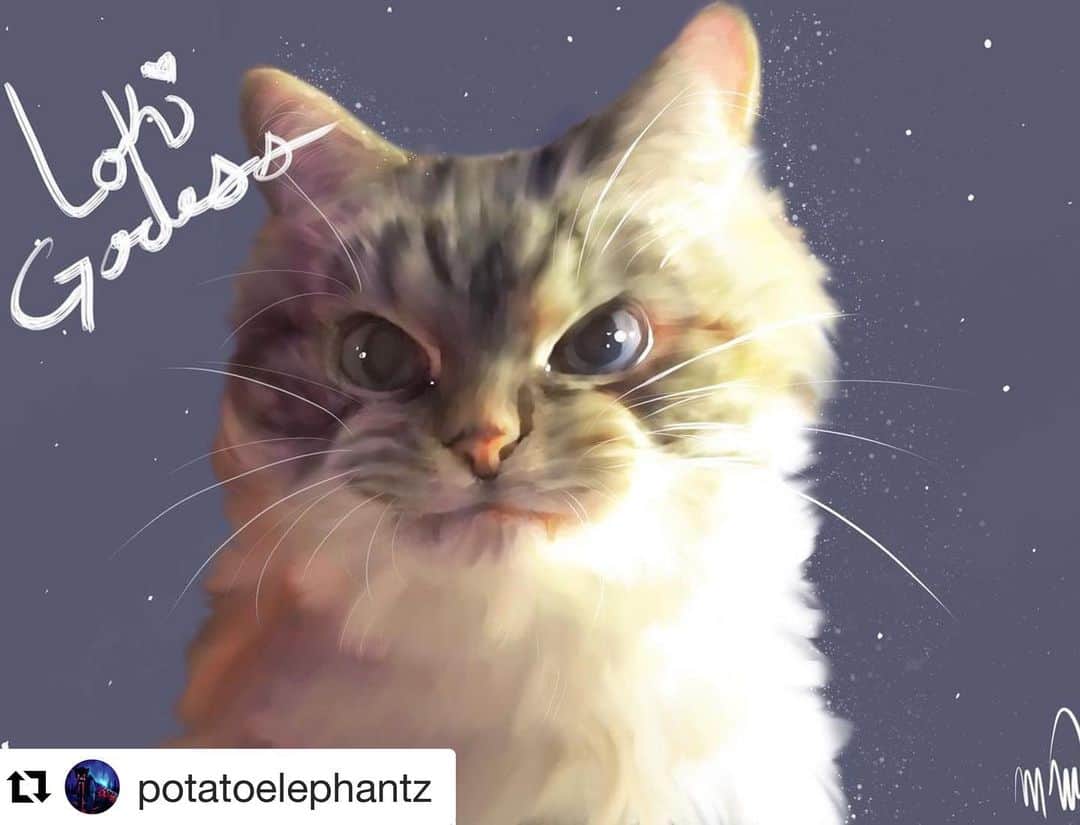 Lokiさんのインスタグラム写真 - (LokiInstagram)「Amazing art by @potatoelephantz ❤️ #cats #cat #art #kitty #kittycat #catsofinstagram #catsoninstagram #catgram #catstagram #instacat #instacats #instacat_meows #loki」2月8日 5時14分 - loki_kitteh
