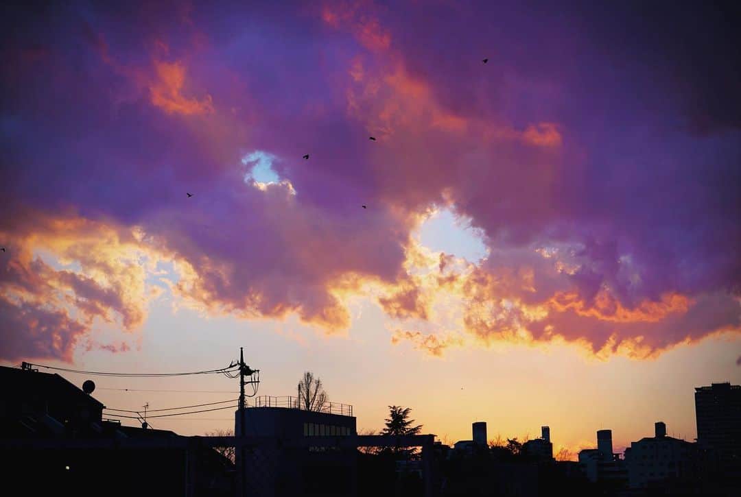 羽原信義さんのインスタグラム写真 - (羽原信義Instagram)「マジックアワーと言われている瞬間だったのかも。」2月8日 5時22分 - nobuyoshi_habara