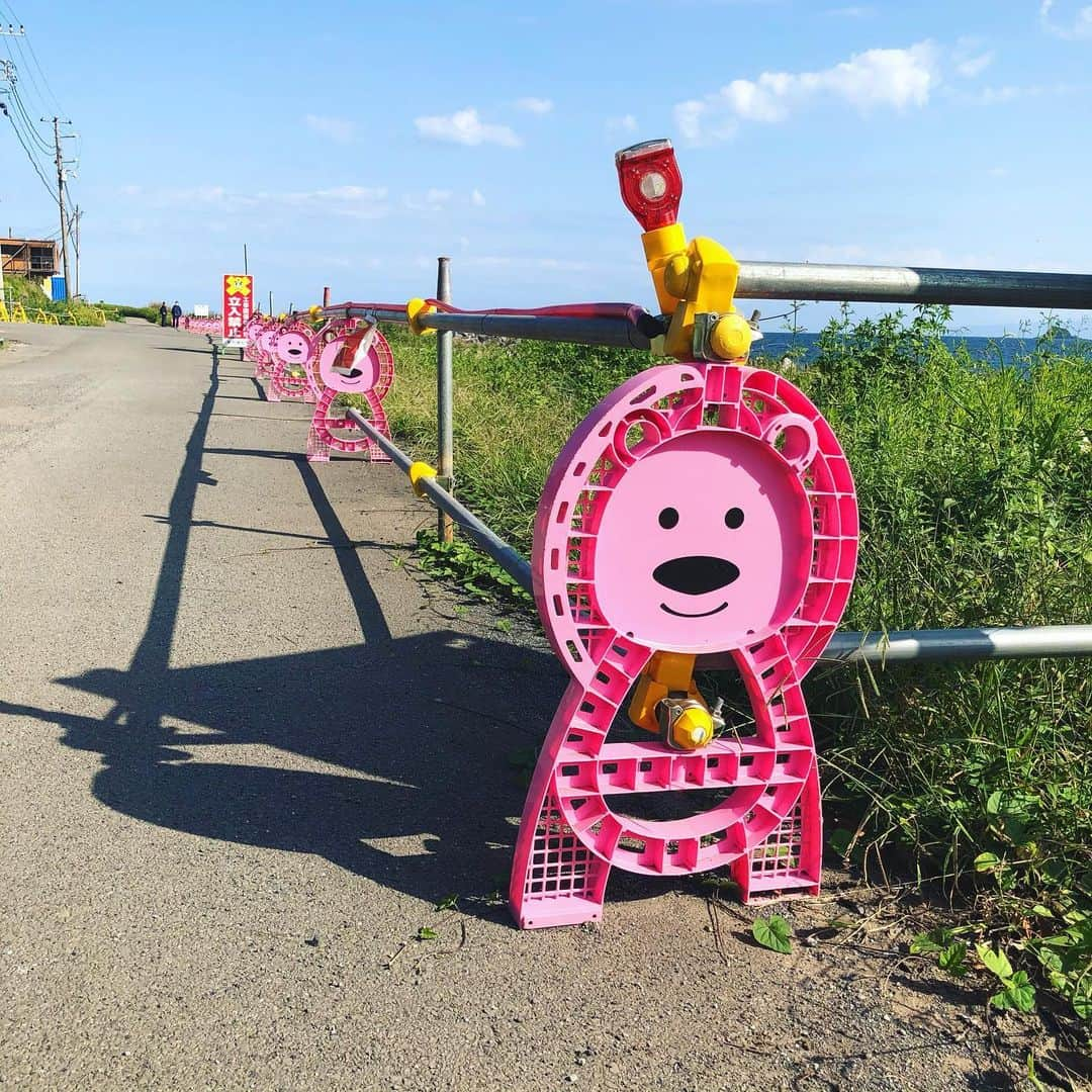 伊東市公式アカウントさんのインスタグラム写真 - (伊東市公式アカウントInstagram)「ㅤㅤㅤㅤㅤㅤㅤㅤㅤㅤㅤㅤㅤ 宇佐美にクマ🧸発見!!!  follow : @itouji_official  ㅤㅤㅤㅤㅤㅤㅤㅤㅤㅤㅤㅤㅤ #わたしといとうと #伊東 #伊東市 #静岡 #静岡県 #伊豆 #いいね伊豆 #観光 #地域おこし協力隊  #宇佐美 #ピンク #熊 #単バリ #うがい手洗い忘れずに #マスクをしよう #コロナに負けるな #Ito #Itocity #Shizuoka #Izu #instagood #ito_stagram #ping #今週もがんばりましょ」2月8日 12時02分 - itouji_official