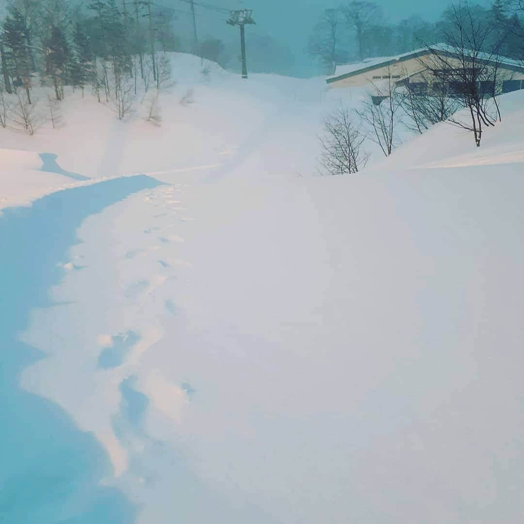 栂池高原スキー場さんのインスタグラム写真 - (栂池高原スキー場Instagram)「おはようございます❗朝イチレポートです。 天候雪　気温－4℃　風速5m/s　 昨日の夕方から雪が20㎝ほど積もっている様子です。本日はパウダーが楽しめることでしょう。  御来場お待ちしています。 https://www.tsugaike.gr.jp/  #栂池 #栂池高原スキー場 #tsugaike #栂池自然園 #白馬つがいけwow　スノーwow #高山植物 #栂池自然園　#栂池高原　 #北アルプス　#後立山連峰 #白馬 #白馬連峰 #青空 #スキー　#スノボ　#冬山 #greenseason #summer #trecking #hakuba #hiking #mountain #flowers #tsugaike #tsugaikekogen #bluesky　#小谷村 #長野 #美しい場所」2月8日 6時57分 - tsugaike_kogen