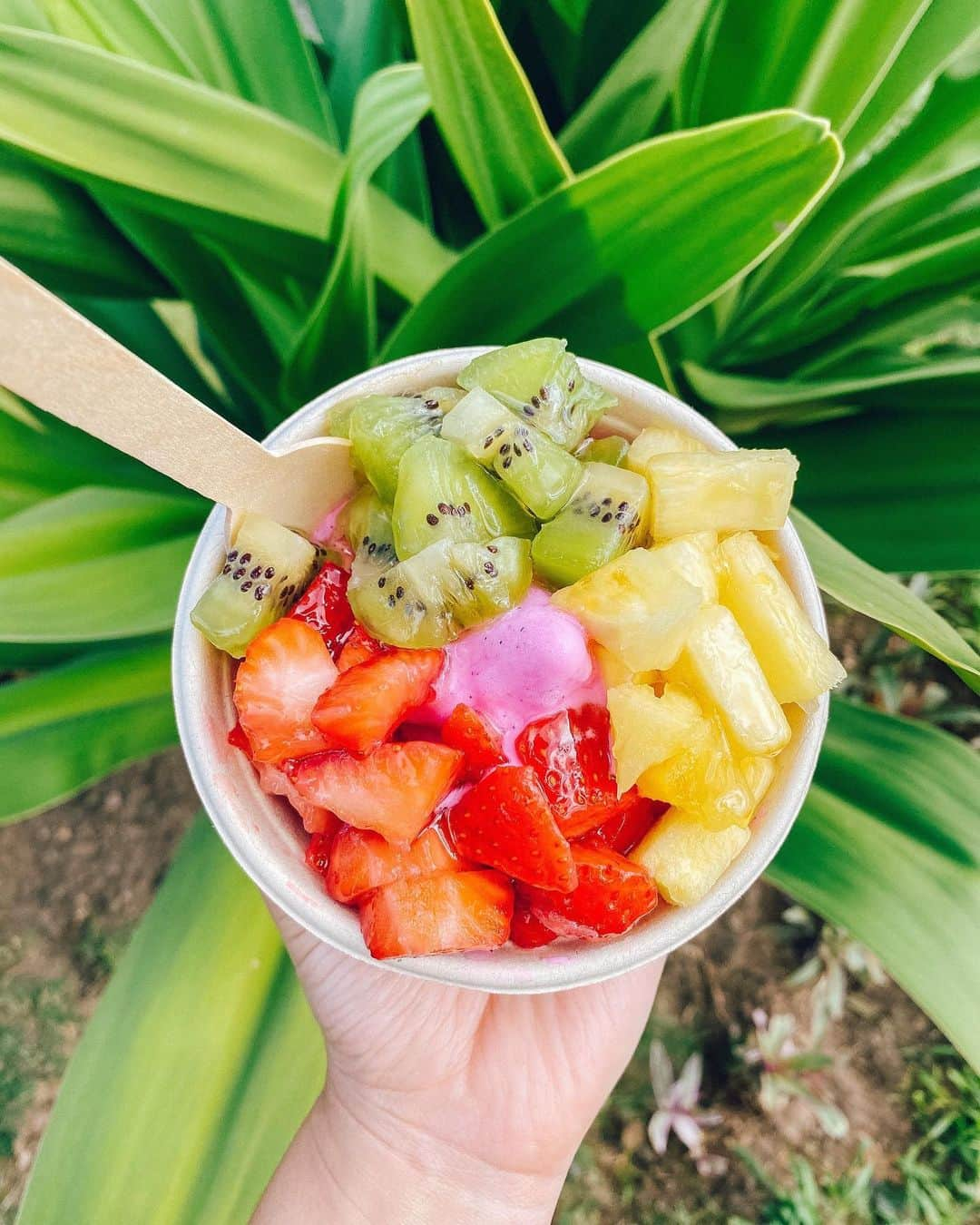 ハワイアン航空さんのインスタグラム写真 - (ハワイアン航空Instagram)「It's a sweet treat type of Sunday! And these tropical frozen yogurt bowls hit the spot. 😍😋  📍 @onoyohawaii」2月8日 7時11分 - hawaiianairlines