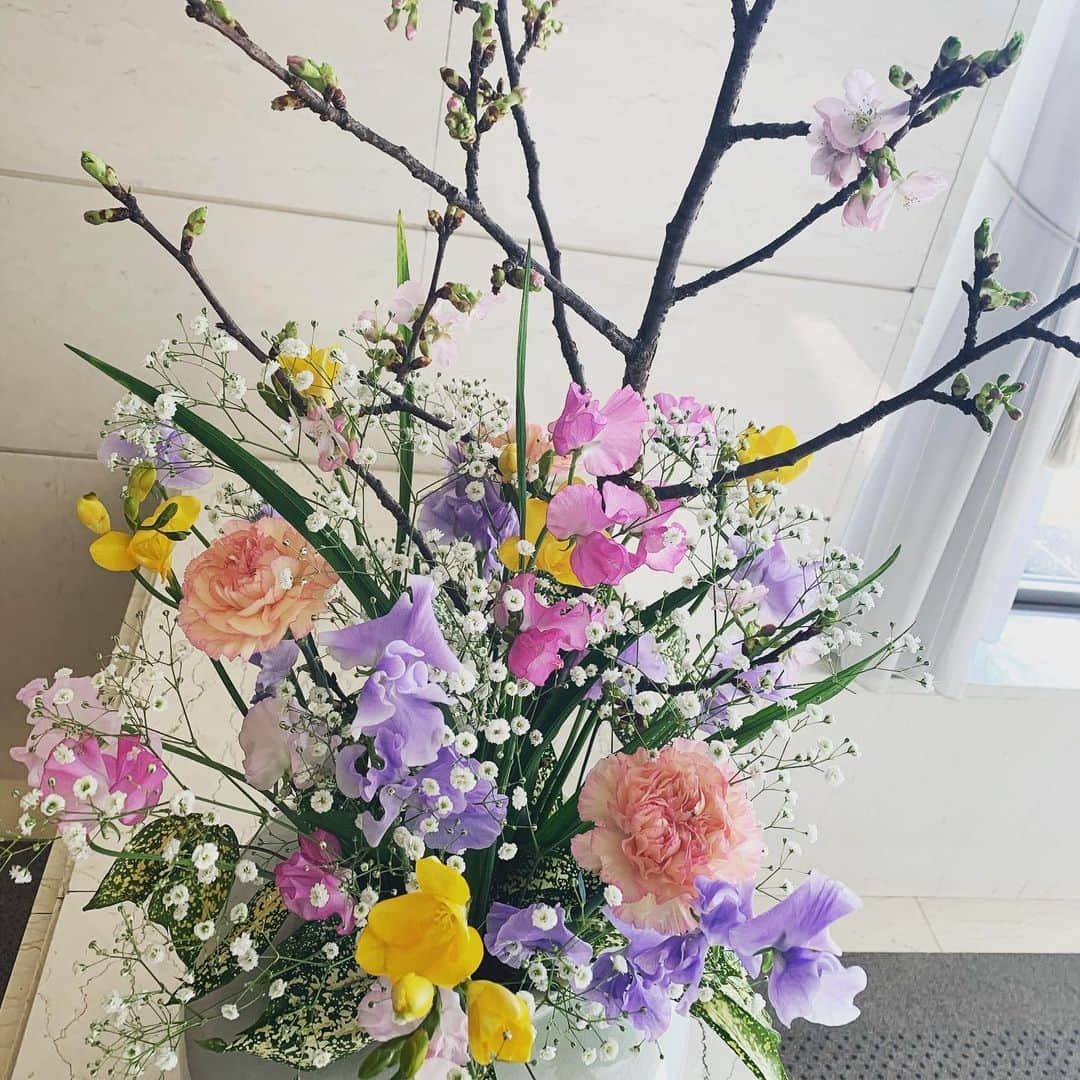 長野智子さんのインスタグラム写真 - (長野智子Instagram)「#河津桜 #春までもう少し #今日もよい一日を」2月8日 7時48分 - naganotomoko