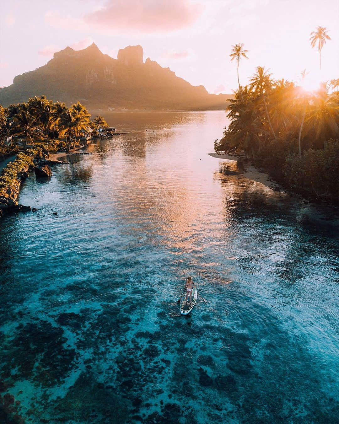 ボディーグローブさんのインスタグラム写真 - (ボディーグローブInstagram)「Insert self here ☀️🌴 #sundayfunday #inparadise #winning   ~~ 📷  @slatertrout #bodyglove #bodyglovegirl #allthingswater #perfection #sunrise #sunset #sunrisesofinstagram #sunsetsofinsagram #dream #believe #explore #adventure #sup #isup #paddleboard #standuppaddleboard #inlatablepaddeboard #southpacific #paradise #exploration #onthewater #crystalclear #goldenlight #palmtrees #sunsetvibes #sunrisevibes #dronephotography」2月8日 7時57分 - bodyglove