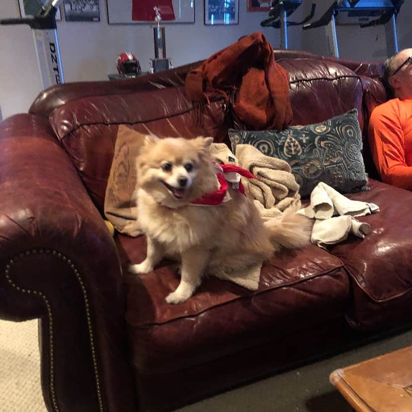 のインスタグラム：「Go Bucs Go 🏈🥳🐶😅👍」