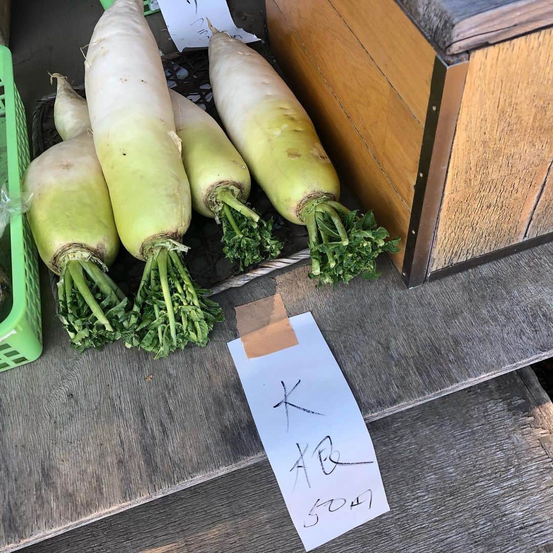 小石田純一さんのインスタグラム写真 - (小石田純一Instagram)「実家。採れた野菜を無人販売してます。大根50円。白菜50円。  #実家 #野菜 #無人販売 #大根 #白菜」2月8日 8時22分 - koishida.trendy