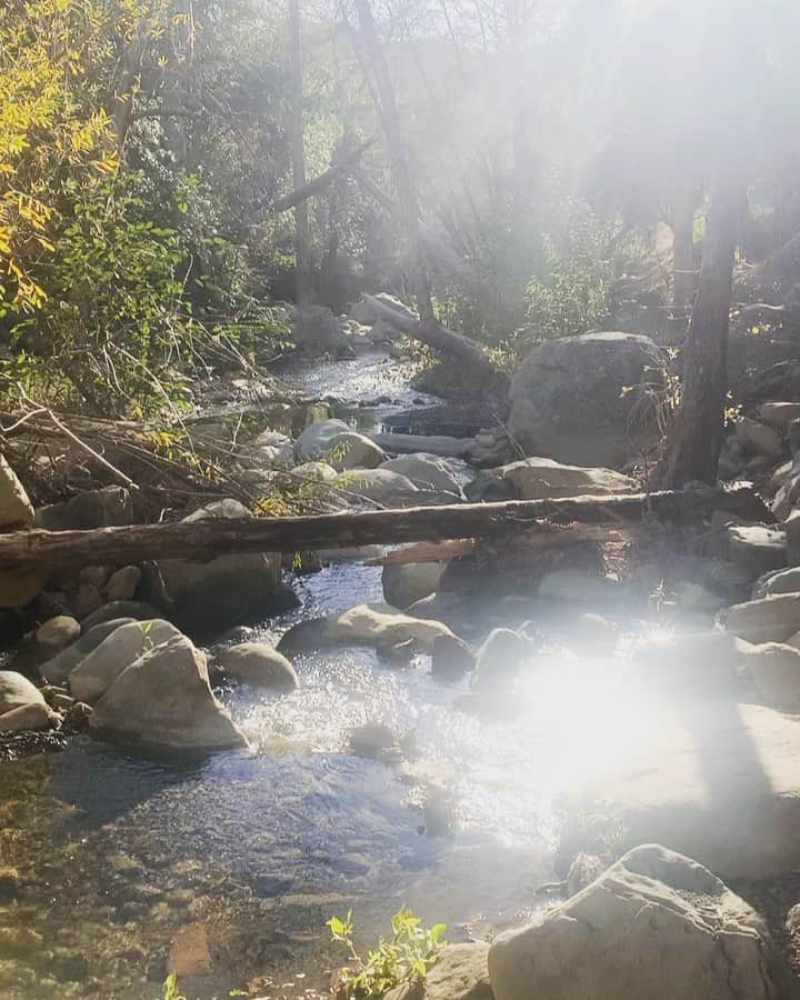 イグナシオ・セルキオのインスタグラム：「Enjoy 30 uninterrupted seconds of calm and peace and the blissful sound of a stream. - Disfruta 30 segundos de calma, paz y el sonido de un arroyo.」