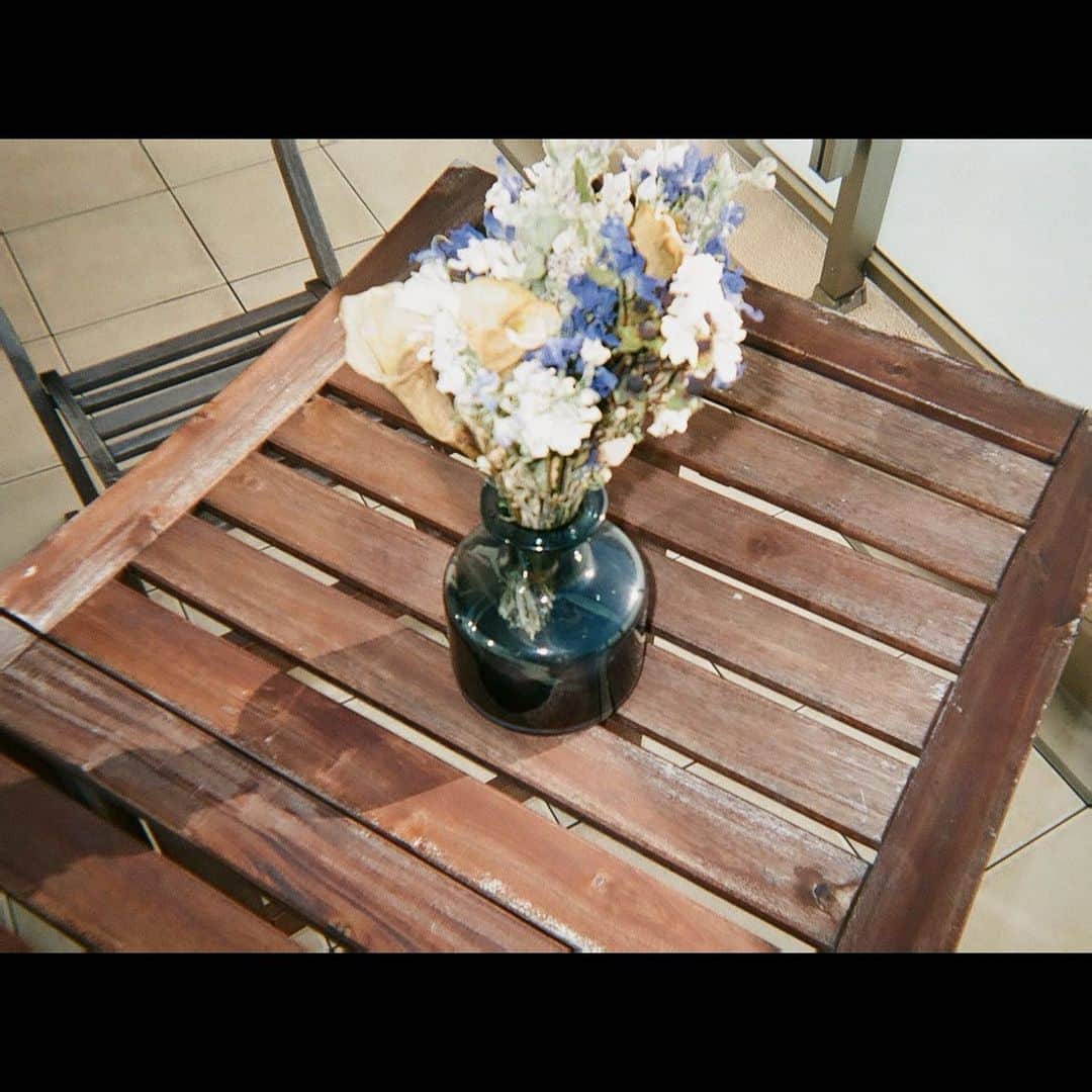 池添俊亮さんのインスタグラム写真 - (池添俊亮Instagram)「film photo📸  ディズニーチャンネルのクランクアップ時にいただいた花束をインテリア用にドライフラワーにしました💐 僕のイメージカラーのブルーがアクセントになっていて、とってもお気に入りです。 大切にします。  #dryflower #filmphoto #blueflower」2月8日 8時41分 - zoe_boy_0427