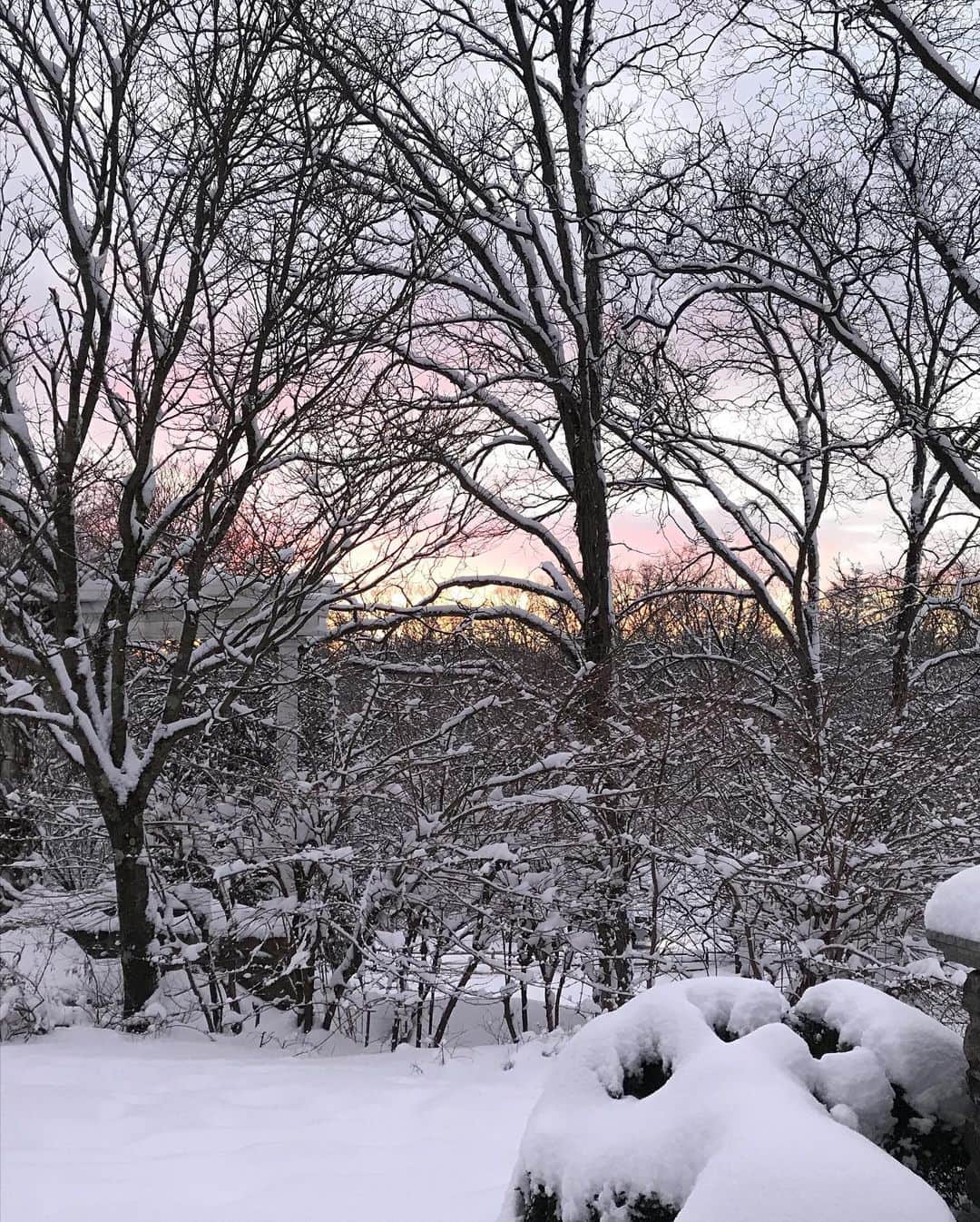 ヴァネッサ・ウィリアムスさんのインスタグラム写真 - (ヴァネッサ・ウィリアムスInstagram)「Snowy Sunday Sunset」2月8日 8時42分 - vanessawilliamsofficial