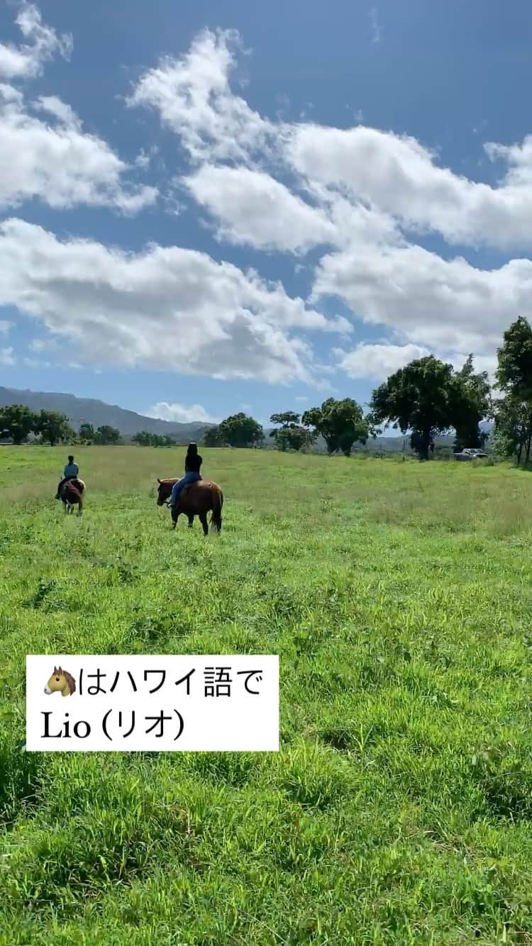 のインスタグラム：「Aloha kakahiaka! 馬に揺られながら、壮大な景色を眺めていると心と体がほぐれていきます🐎  📍 @princevilleranchkauai」