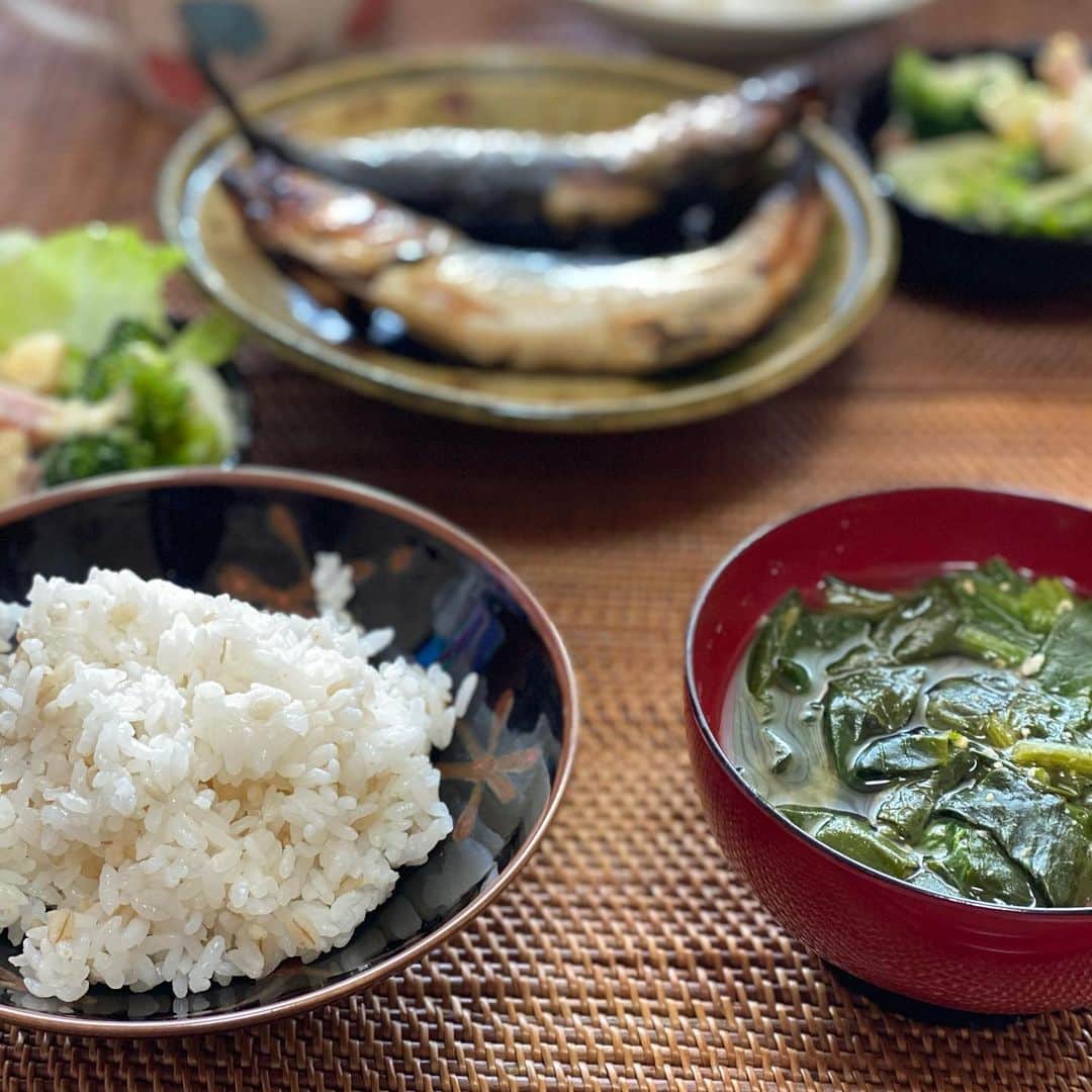 荻原和歌のインスタグラム：「ある日の昼ごはん。小松菜のおつゆとイワシの干物、ハムと卵とブロッコリーのサラダ。イワシ美味しいね。ごはんは　#雪若丸」