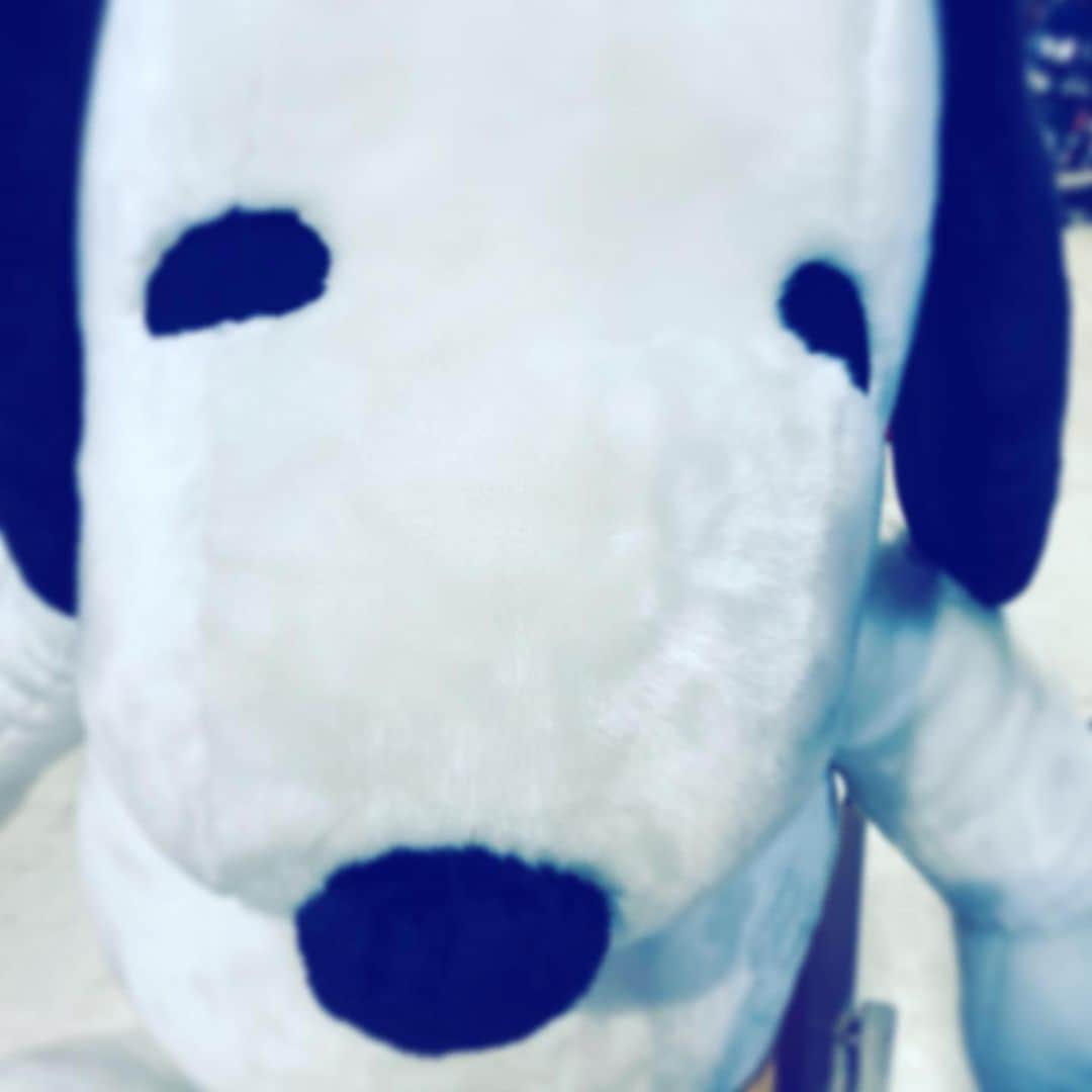 中野敬久さんのインスタグラム写真 - (中野敬久Instagram)「#isitreally #snoopy #doll #fake #eyes」2月8日 9時07分 - hirohisanakano