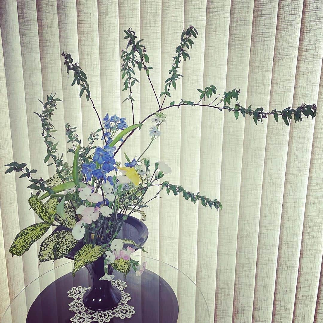 前田真里さんのインスタグラム写真 - (前田真里Instagram)「#花してる ?  皆さん、よい1週間を お過ごし下さいね🍀」2月8日 9時37分 - maedamari