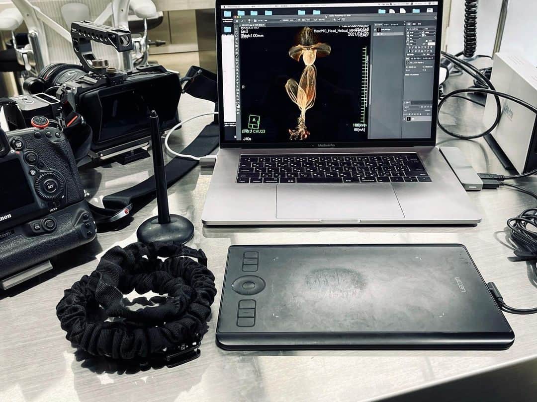 椎木俊介のインスタグラム：「New project  #azumamakoto #makotoazuma #amkk #amkkproject #shiinokishunsuke #flowers #flowerart #東信花樹研究所 #東信」
