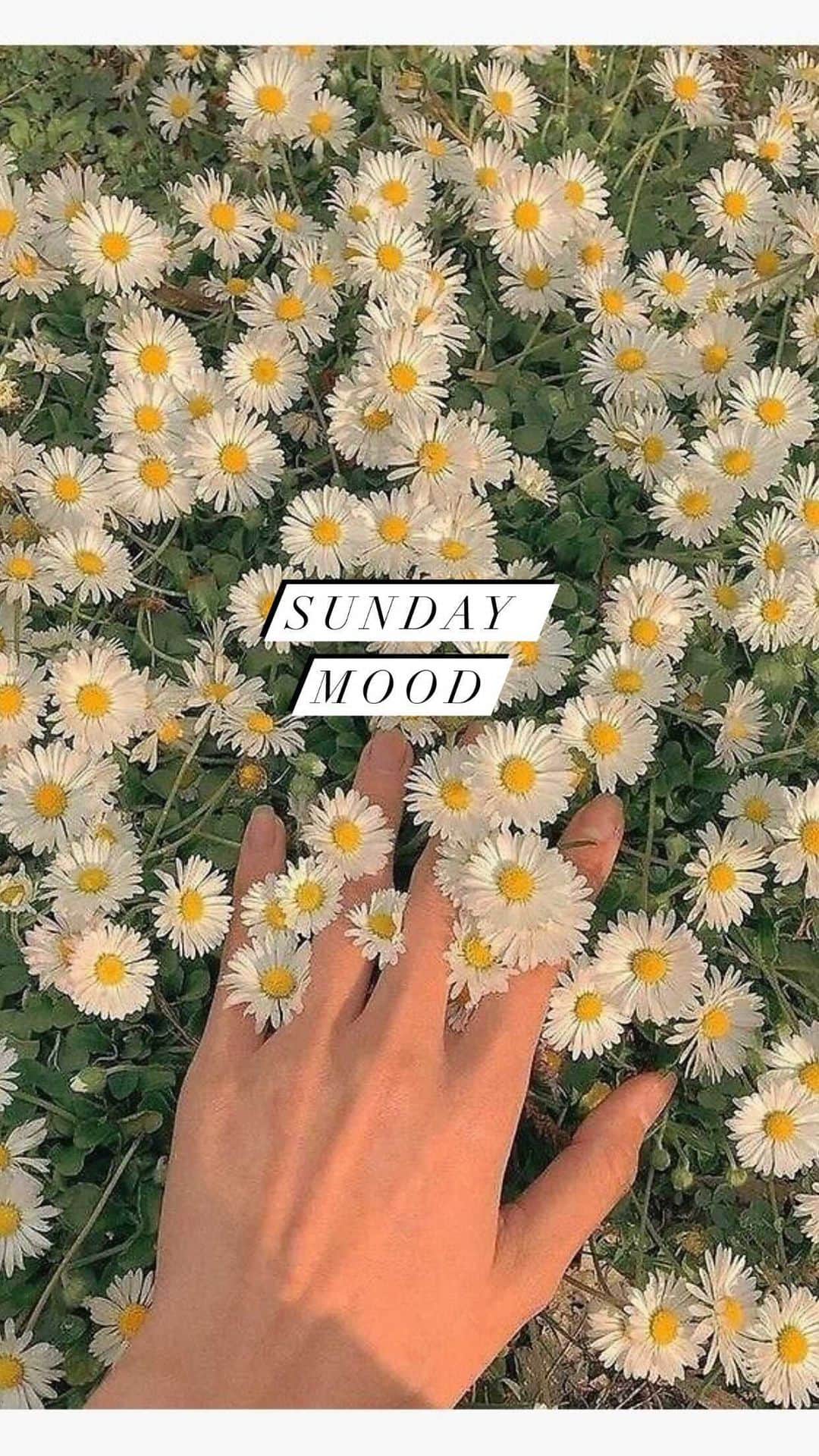 Mayela Vazquezのインスタグラム：「Sunday Mood 😂😜 Count me in for the snacks, half-time show and cool commercials #SundayMood #SuperBowl #SuperBowl2021 #SuperBowlVibes」