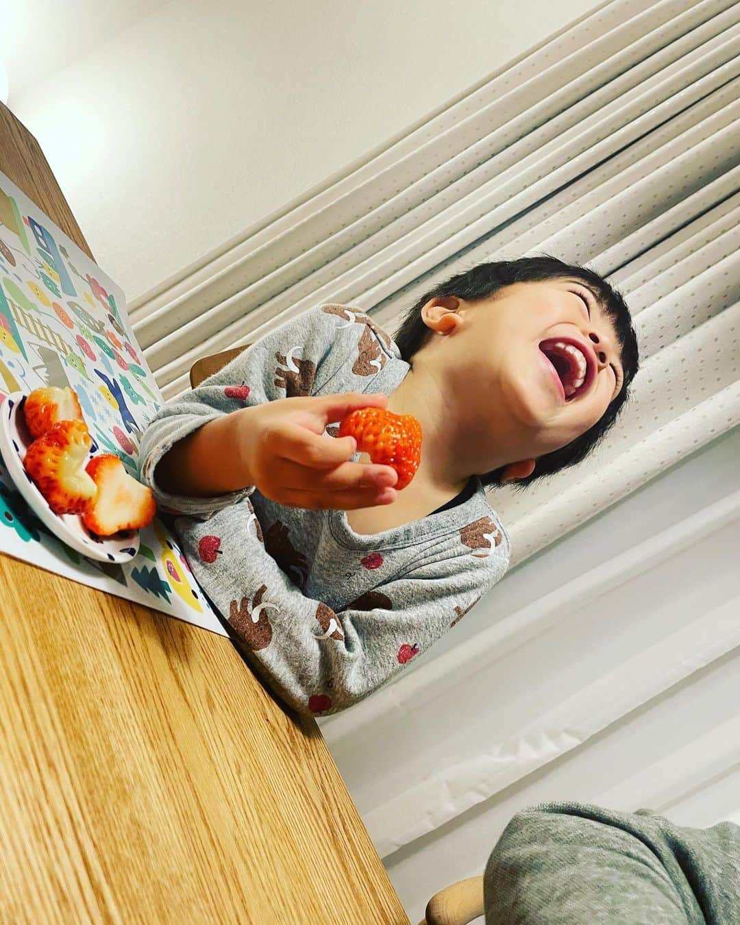 氷浦紫さんのインスタグラム写真 - (氷浦紫Instagram)「#特選越後姫 最高に美味しいです。 今まで食べたイチゴで一番美味しいです🍓 おかあさん、ありがとう！！  ちなみに動画では、ふわふわのビニールのなかに置かれていて、さらにふわふわのラップみたいなのがかけられてるんだよーっていう説明です。  こちらは、  新潟県の『小島農園』さんのものです🍓 新潟県新潟市秋葉区市新116 TEL0250-22-8473  #いちご大好き#今日のいちご#strawberry#越後姫#新潟のいちご#小島農園 #yummyfood #fruits」2月8日 20時13分 - yukalihiula