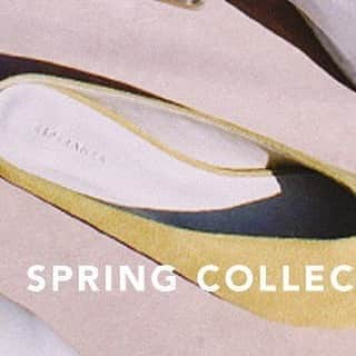 エスペランサ公式さんのインスタグラム写真 - (エスペランサ公式Instagram)「2021SS New Collection...  .  .  .  #エスペランサ#esperanza #2021ss#pumps#mules #boots#sandals #エレガントコーデ #春コーデ #春服#春靴#春シューズ#春服コーデ #Sサイズ#LLサイズ#大きい靴#小さい靴#小さいパンプス#大きいパンプス」2月8日 20時21分 - esperanza_official