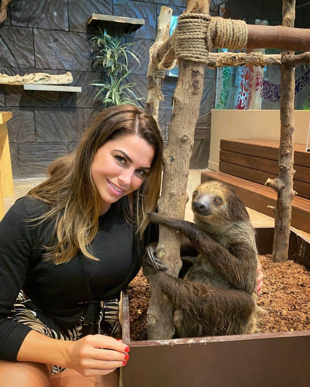 ルイス・グローバーさんのインスタグラム写真 - (ルイス・グローバーInstagram)「Happy Birthday to me 🦥🤍🎉🎈Happy birthday to me.. Sharing today with my fav animal, say hi to lemon the sloth. . #birthdaygirl #slothlove #birthday #sloth #momentstocherish #solotravel #dayoff #birthdaywishes #happybirthday #unconditionallove #animallove #thegreenplanet #animallover #animallove #warmmysoul #educateyourself」2月8日 20時23分 - louiseglover