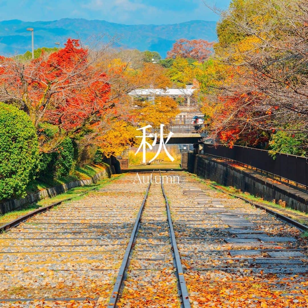 Skyticket.jpさんのインスタグラム写真 - (Skyticket.jpInstagram)「​⠀ 京都・ 蹴上インクライン ⠀ 南禅寺の近くにある、明治から昭和に活躍した全長582mの世界最長の傾斜鉄道跡を産業遺産として保存したもの。 現在は京都市の文化財に指定されています。 ⠀ 桜が満開となる時期が特に多くの人が訪れますが、四季折々の表情が美しくいつ訪れても楽しめるフォトジェニックな場所として有名です。 ⠀ ①春 photo by 📷 春の宴 （© Tomato_249 クリエイティブ・コモンズ・ライセンス（表示4.0 国際））を改変して作成 https://creativecommons.org/licenses/by/4.0/ ⠀ ②夏 photo by 📷 TAKUYA.A / PIXTA(ピクスタ) ⠀ ③秋 photo by 📷 peia / PIXTA(ピクスタ) ⠀ ④冬 photo by 📷 TAKUYA.A / PIXTA(ピクスタ) ⠀ +++++++ +++++++ +++++++⠀ 蹴上インクライン 住所：〒606-8443 京都市左京区粟田口山下町～南禅寺草川町 公式・関連サイト：https://www.city.kyoto.lg.jp/suido/page +++++++ +++++++ +++++++ ⠀ ・ ・ ▼旅先の絶景やおすすめ写真を大募集📷 #skyticketrip を付けた投稿はストーリーズでご紹介させてください🌈 ⠀ #蹴上インクライン #京都 #京都観光 #ファインダー越しの私の世界 #写真好きな人と繋がりたい #水路閣 #京都御苑 #インクライン #蹴上 #田邁朔郎 #京都旅行 #京都観光 #kyoto #京都散策 #京都大好き #神社仏閣 #神社巡り #歴史的建造物 #歴史好き #そうだ京都行こう #京都散策 #仏閣好きな人と繋がりたい #寺院好きな人と繋がりたい #旅行好きな人と繋がりたい #京都好きな人と繋がりたい #歴史好きな人と繋がりたい #skyticket #スカイチケット」2月8日 20時23分 - skyticket.jp