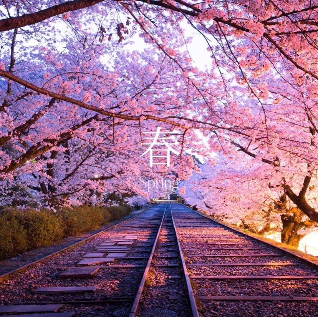 Skyticket.jpさんのインスタグラム写真 - (Skyticket.jpInstagram)「​⠀ 京都・ 蹴上インクライン ⠀ 南禅寺の近くにある、明治から昭和に活躍した全長582mの世界最長の傾斜鉄道跡を産業遺産として保存したもの。 現在は京都市の文化財に指定されています。 ⠀ 桜が満開となる時期が特に多くの人が訪れますが、四季折々の表情が美しくいつ訪れても楽しめるフォトジェニックな場所として有名です。 ⠀ ①春 photo by 📷 春の宴 （© Tomato_249 クリエイティブ・コモンズ・ライセンス（表示4.0 国際））を改変して作成 https://creativecommons.org/licenses/by/4.0/ ⠀ ②夏 photo by 📷 TAKUYA.A / PIXTA(ピクスタ) ⠀ ③秋 photo by 📷 peia / PIXTA(ピクスタ) ⠀ ④冬 photo by 📷 TAKUYA.A / PIXTA(ピクスタ) ⠀ +++++++ +++++++ +++++++⠀ 蹴上インクライン 住所：〒606-8443 京都市左京区粟田口山下町～南禅寺草川町 公式・関連サイト：https://www.city.kyoto.lg.jp/suido/page +++++++ +++++++ +++++++ ⠀ ・ ・ ▼旅先の絶景やおすすめ写真を大募集📷 #skyticketrip を付けた投稿はストーリーズでご紹介させてください🌈 ⠀ #蹴上インクライン #京都 #京都観光 #ファインダー越しの私の世界 #写真好きな人と繋がりたい #水路閣 #京都御苑 #インクライン #蹴上 #田邁朔郎 #京都旅行 #京都観光 #kyoto #京都散策 #京都大好き #神社仏閣 #神社巡り #歴史的建造物 #歴史好き #そうだ京都行こう #京都散策 #仏閣好きな人と繋がりたい #寺院好きな人と繋がりたい #旅行好きな人と繋がりたい #京都好きな人と繋がりたい #歴史好きな人と繋がりたい #skyticket #スカイチケット」2月8日 20時23分 - skyticket.jp