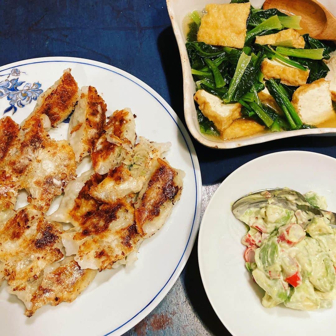 井上荒野のインスタグラム：「こぐれひでこさんがブログでおすすめしていた「餃子の丸岡」の餃子、「あっさりしていていくらでも食べられる」と書いてらしたが、たしかに！」