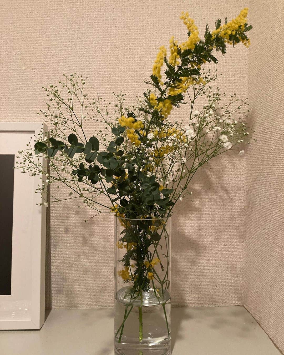 Karinのインスタグラム：「Mimosa and gypsophila 可愛いミモザを見つけたので、買わずにはいられなかったのでした♡  #mimosa #gypsophila #eukalyptus #flowerstagram」